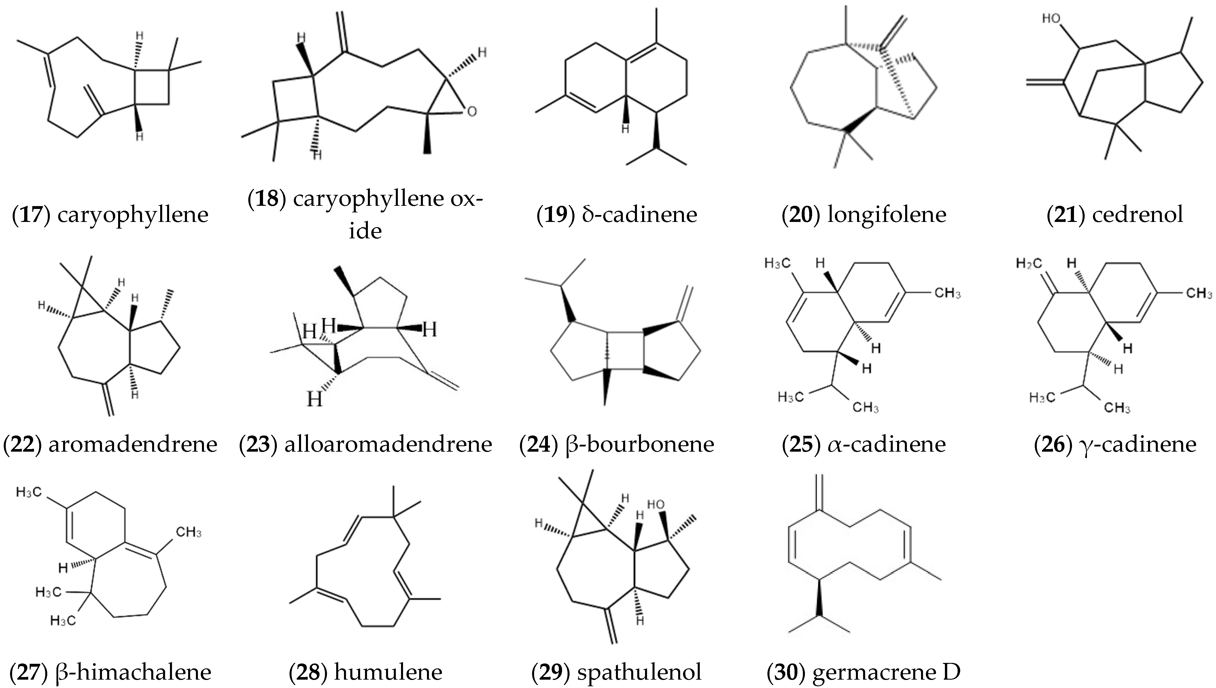 Molecules 27 05249 g002