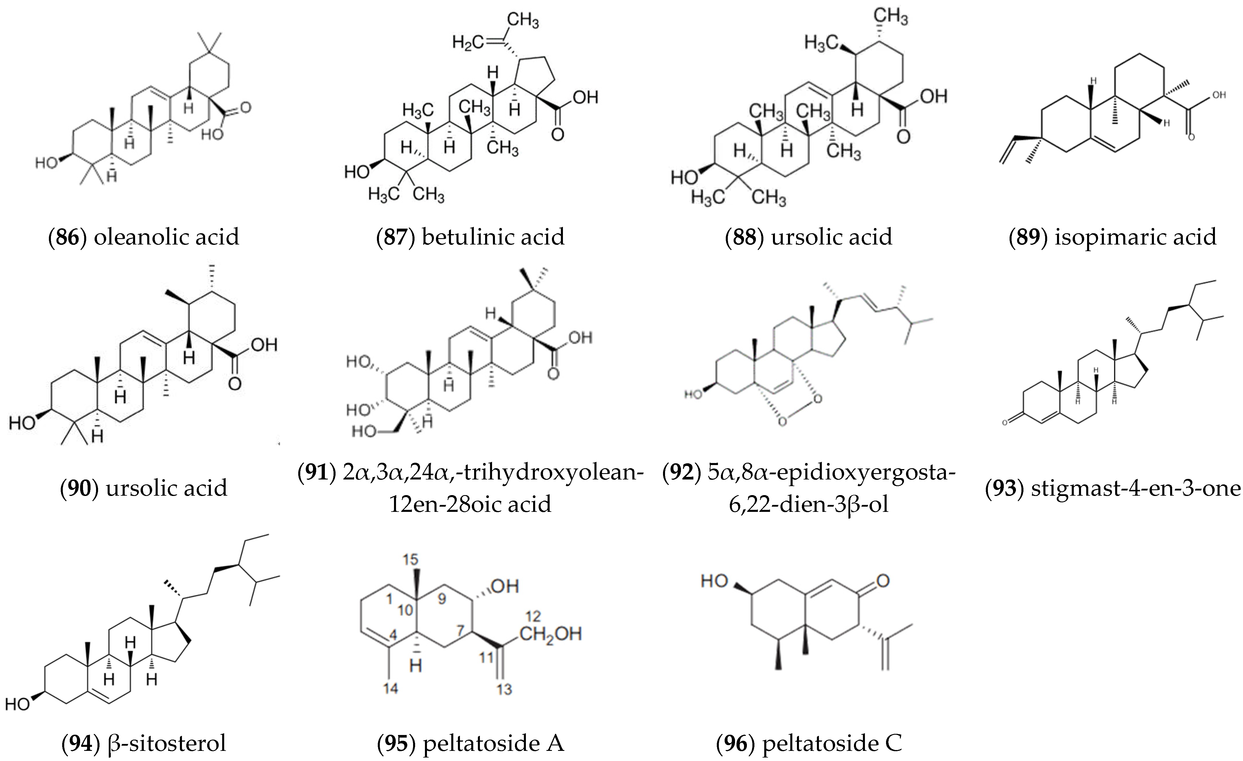 Molecules 27 05249 g008