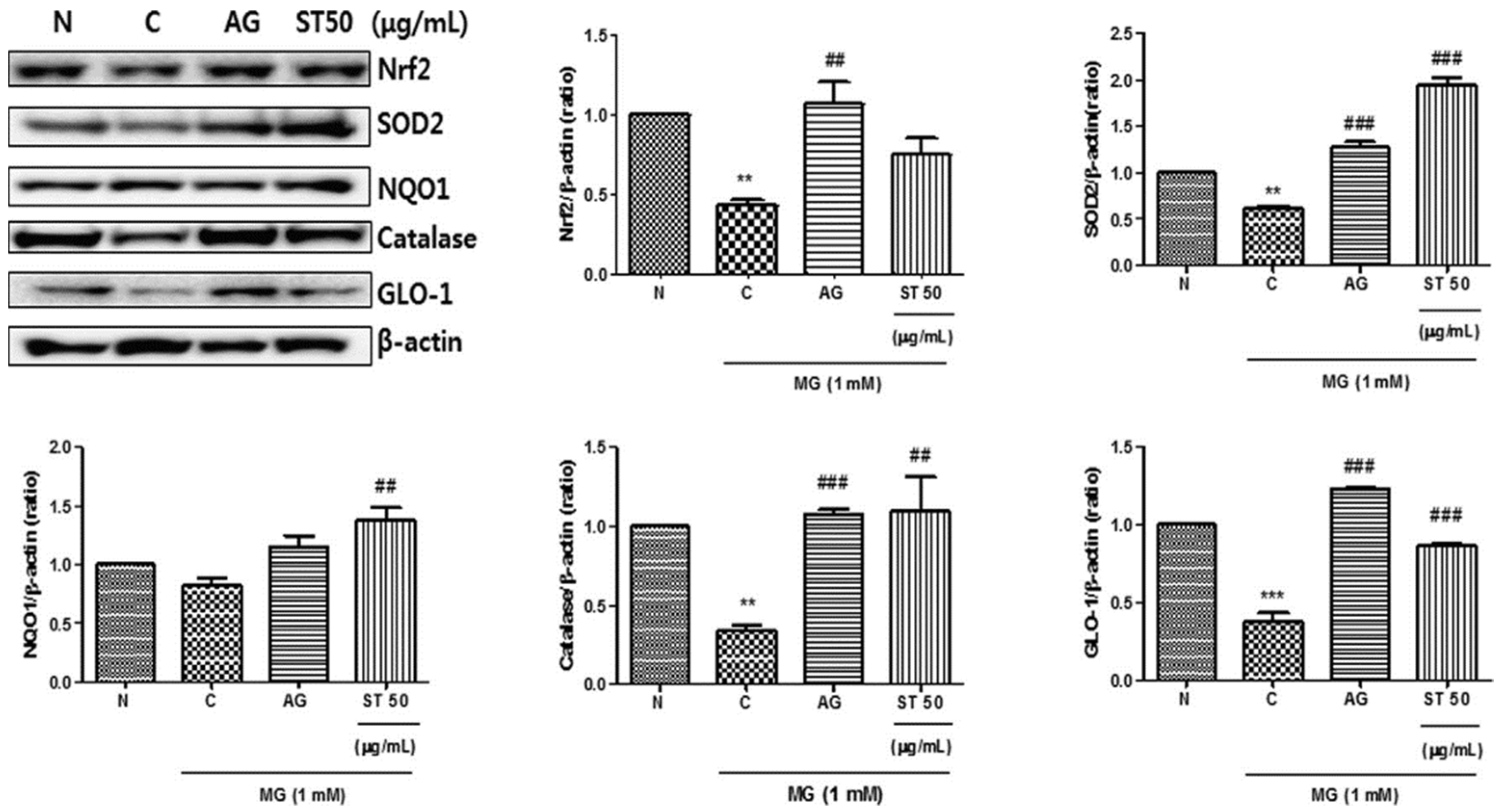 Molecules 27 05249 g011