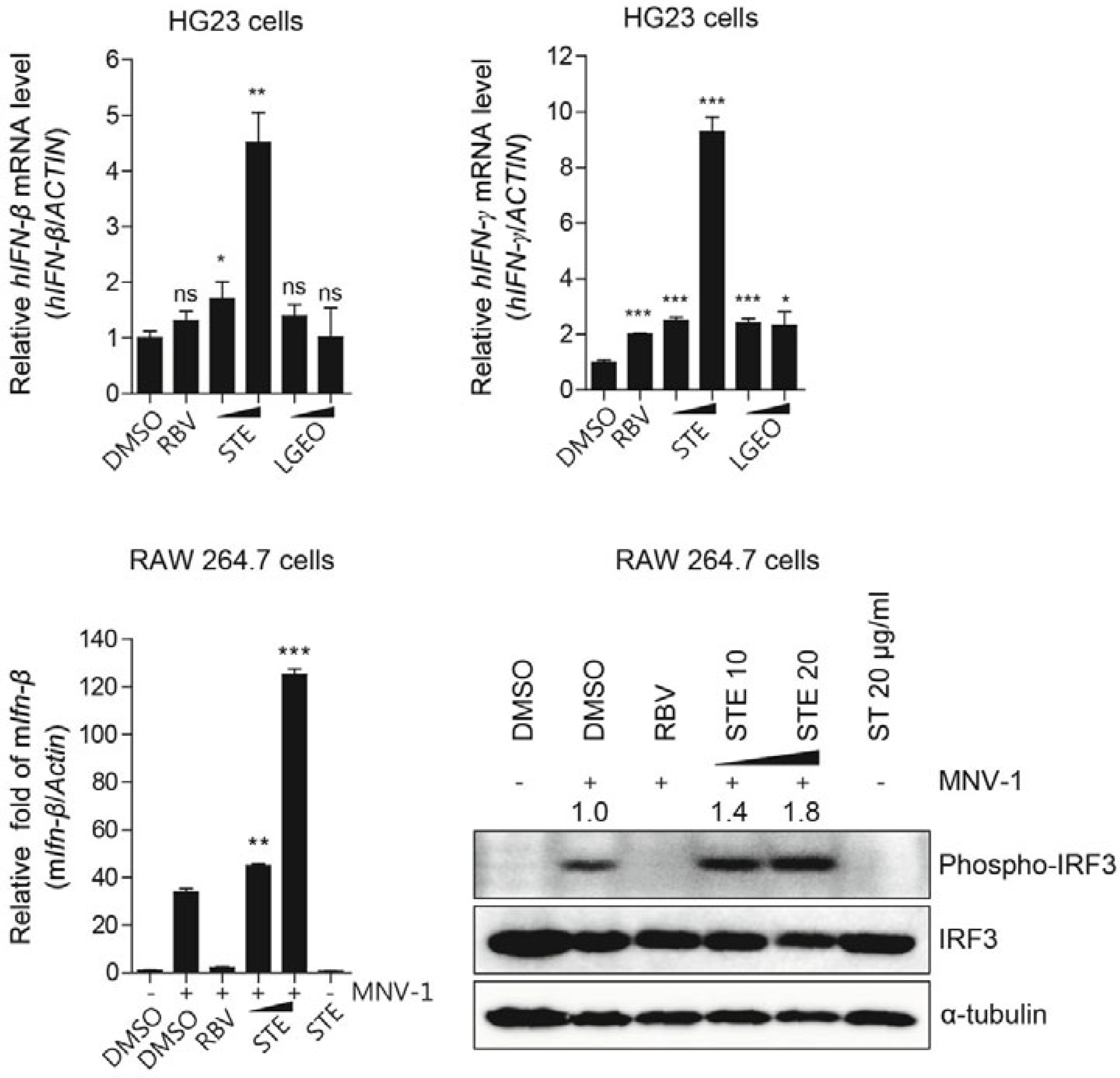 Molecules 27 05249 g013