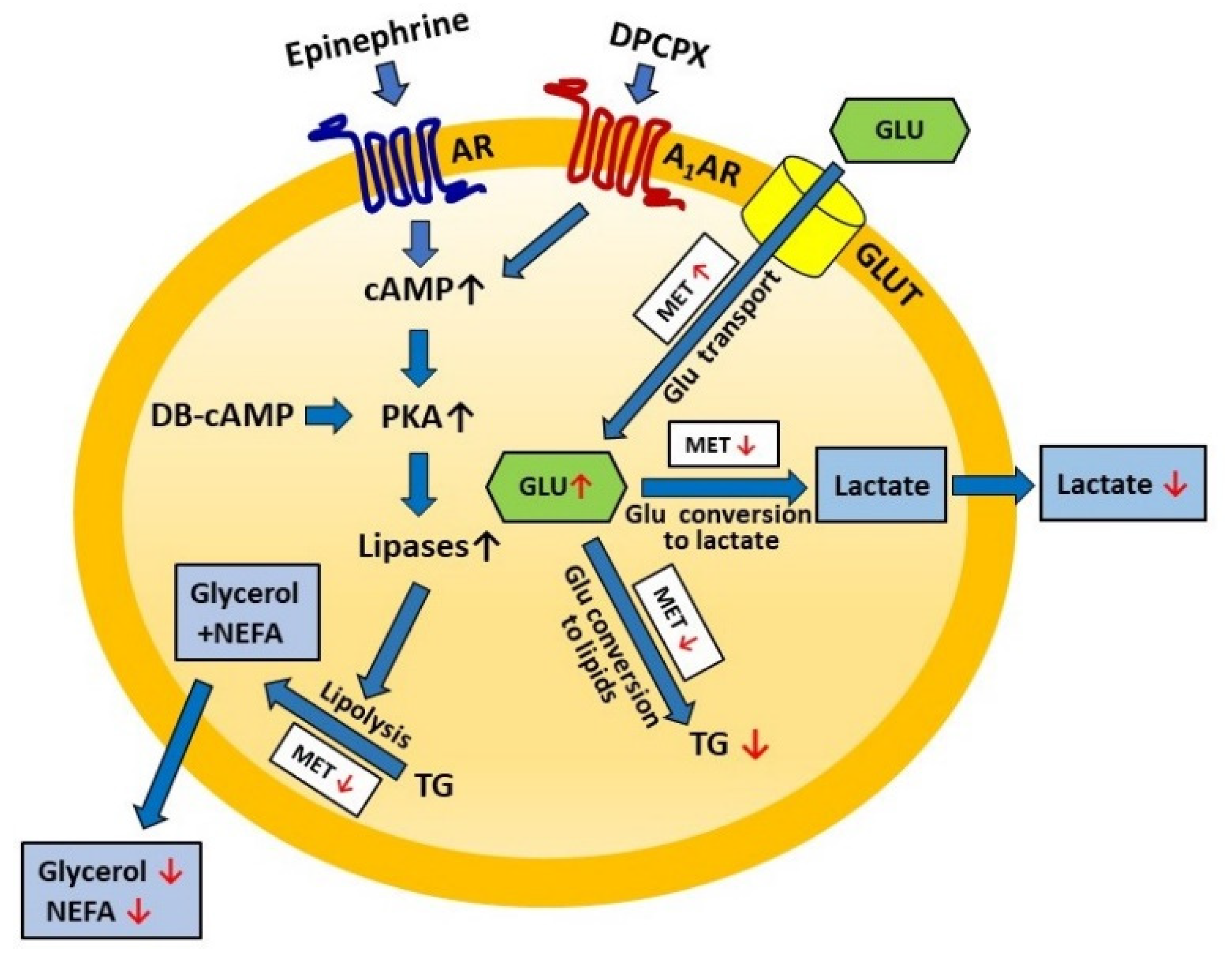 Molecules 27 05250 g009