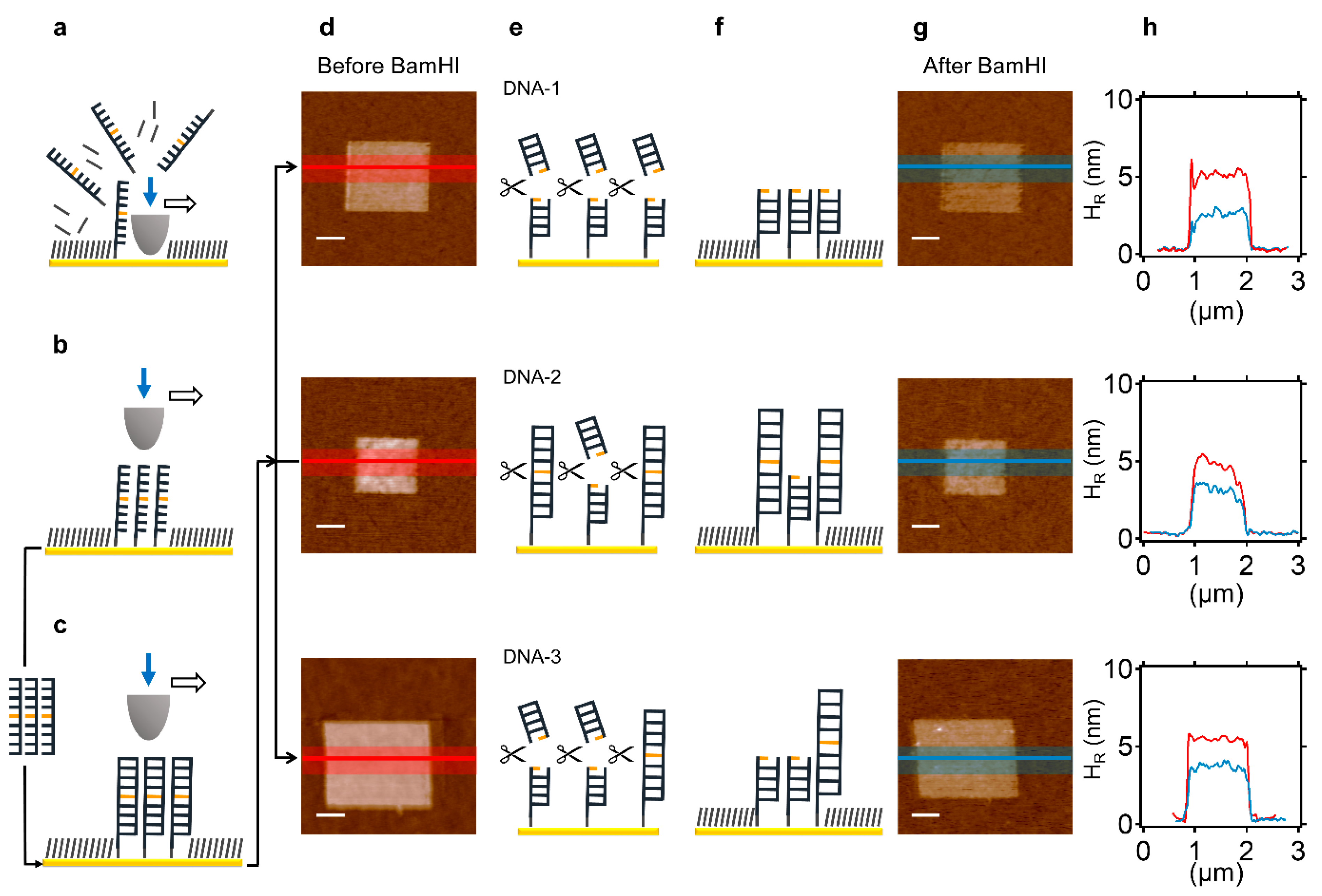 Molecules 27 05262 g001