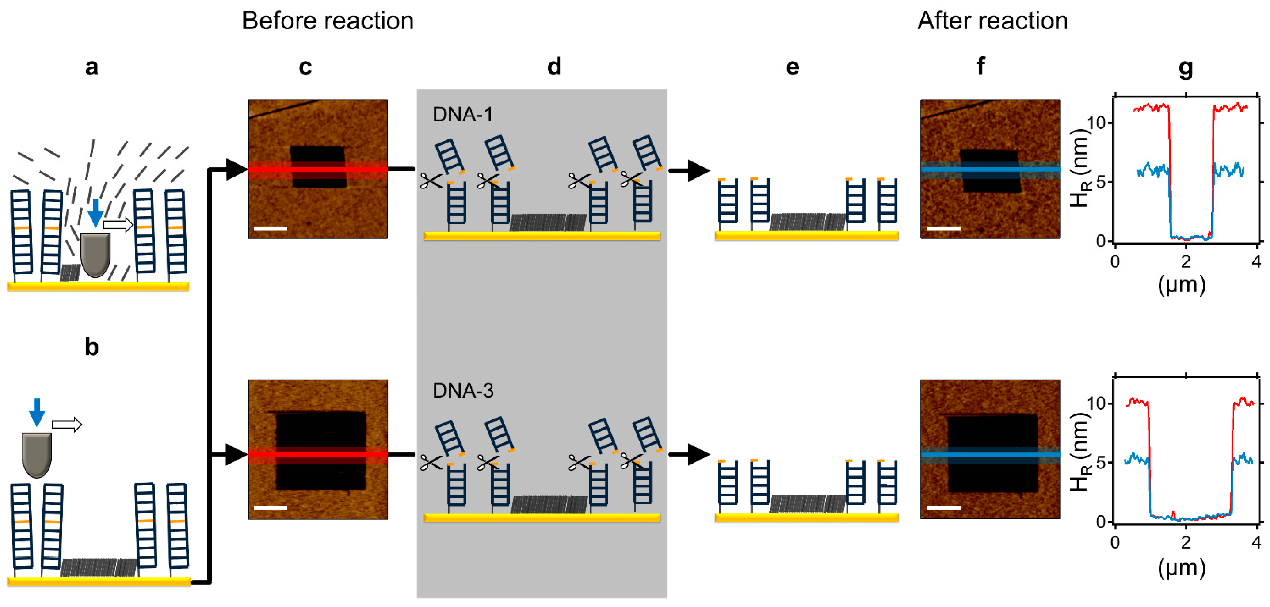 Molecules 27 05262 g002