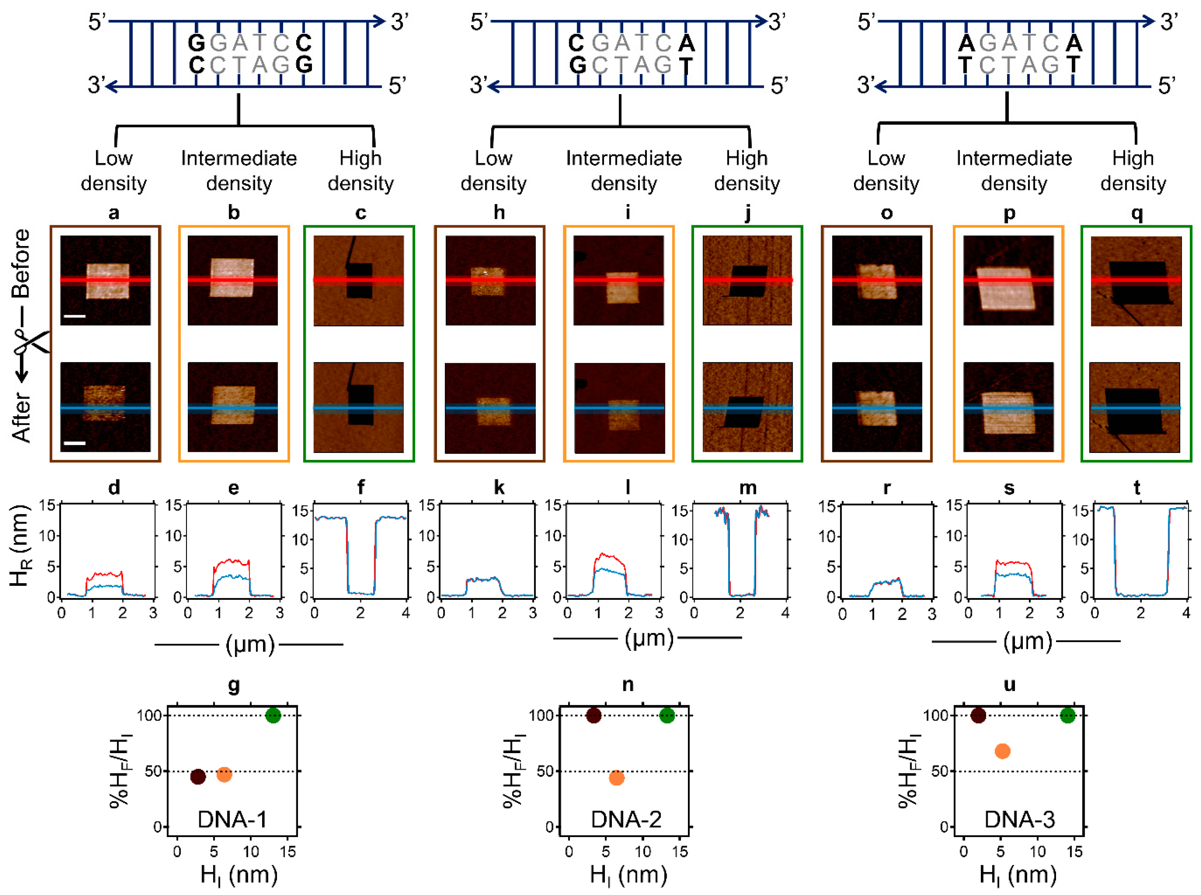 Molecules 27 05262 g003