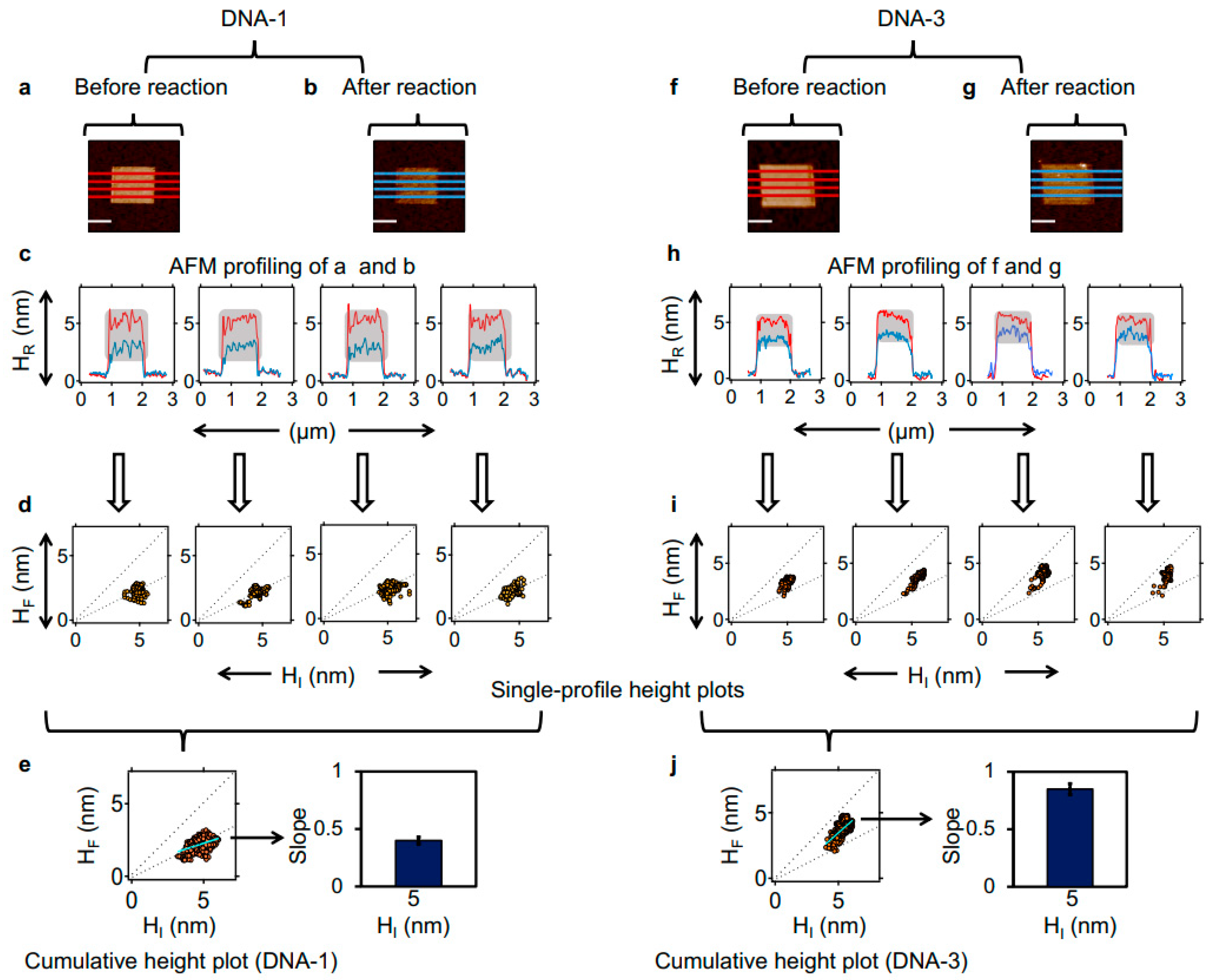 Molecules 27 05262 g004