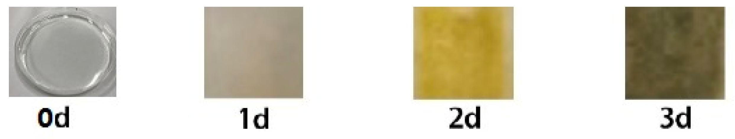 Molecules 27 05280 g001