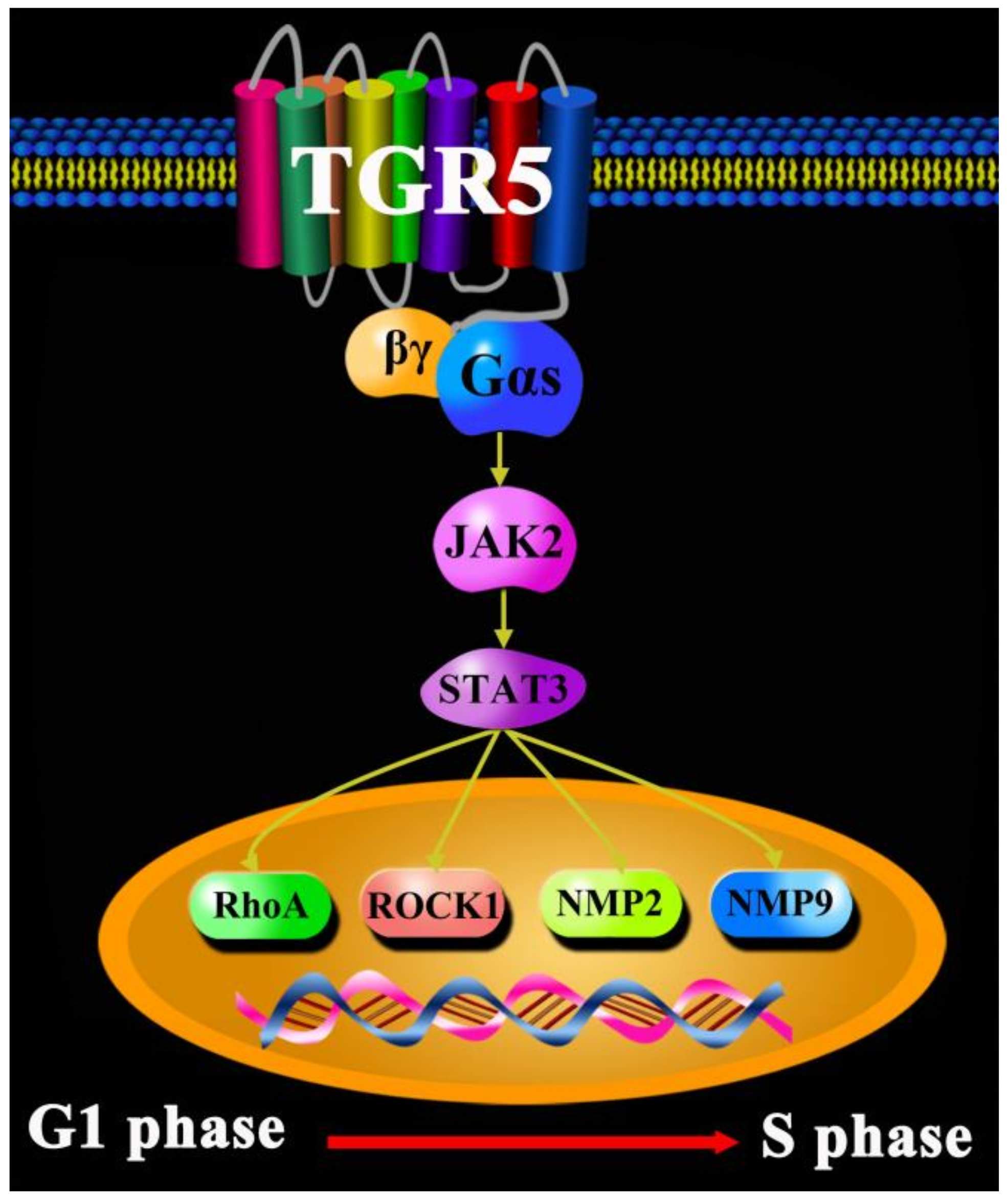 Molecules 27 05292 g004