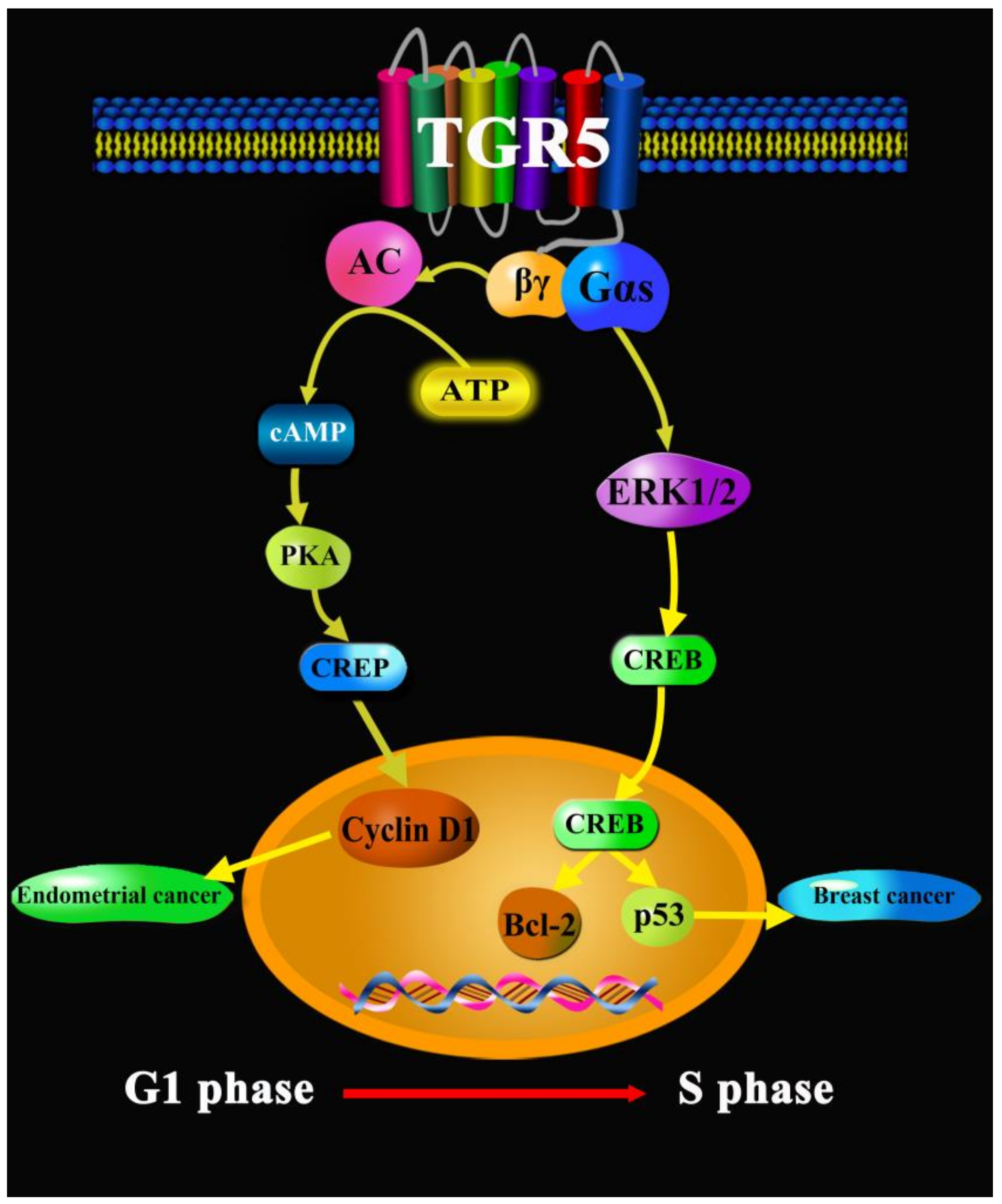 Molecules 27 05292 g007