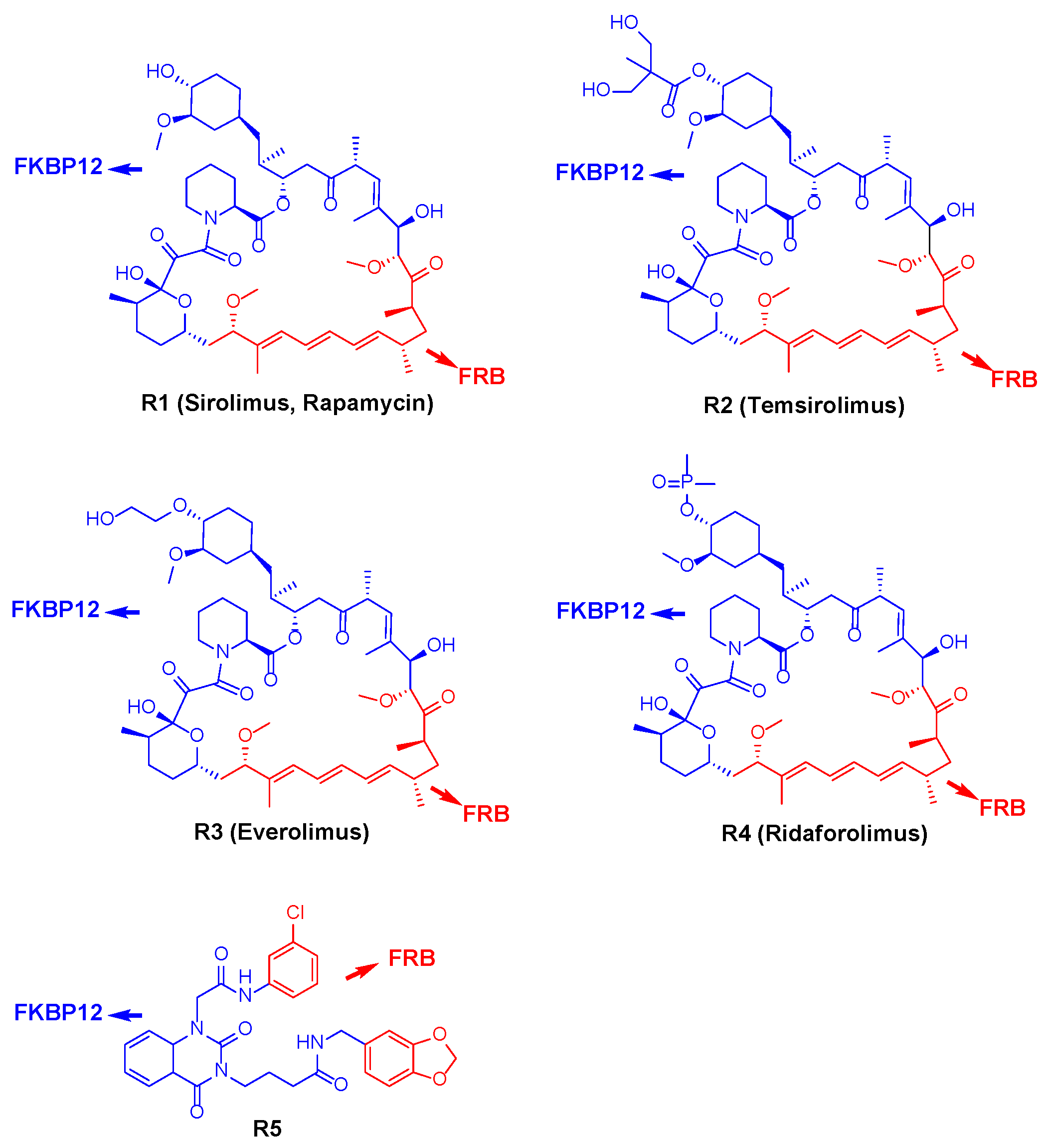 Molecules 27 05295 g003