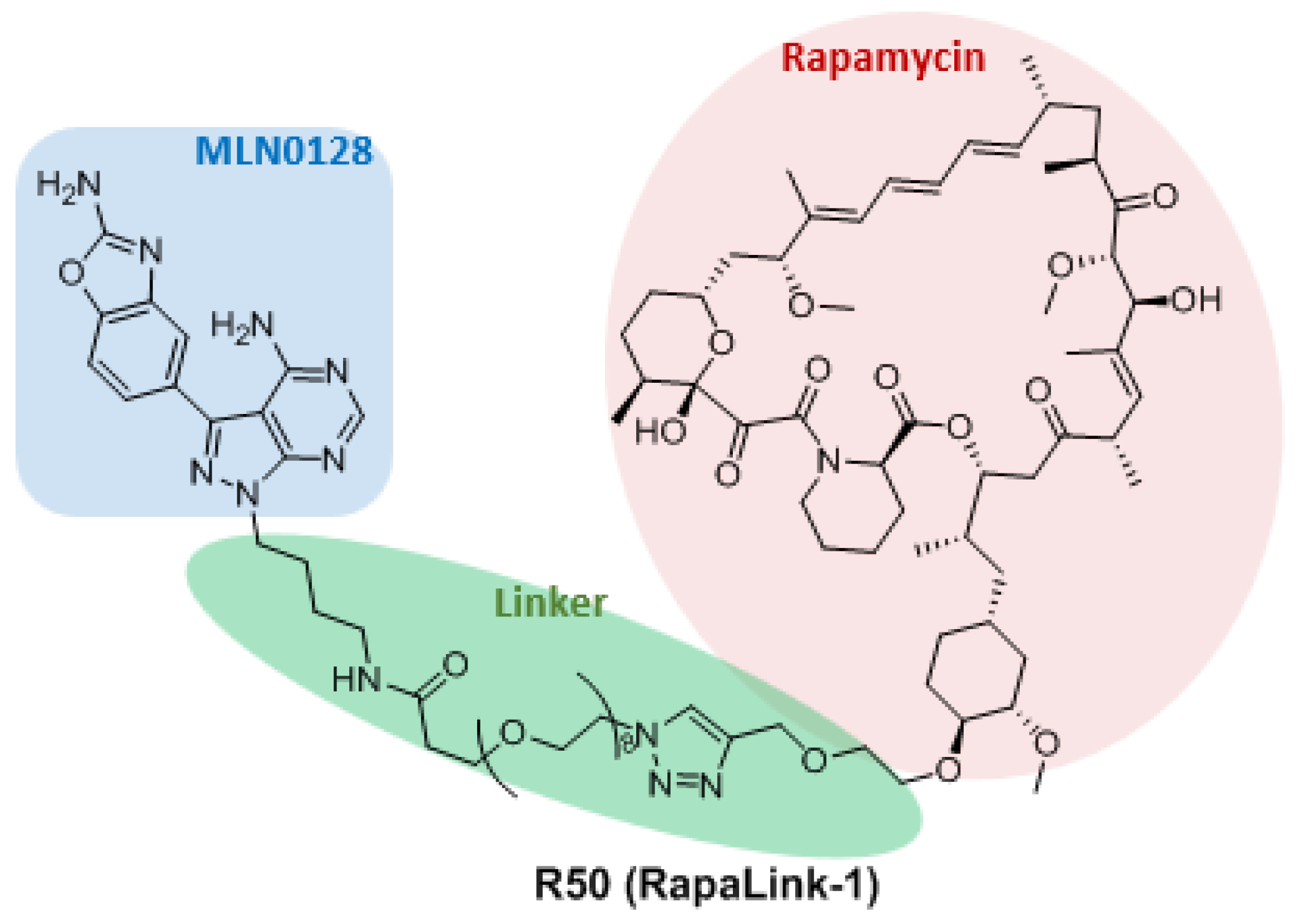Molecules 27 05295 g008