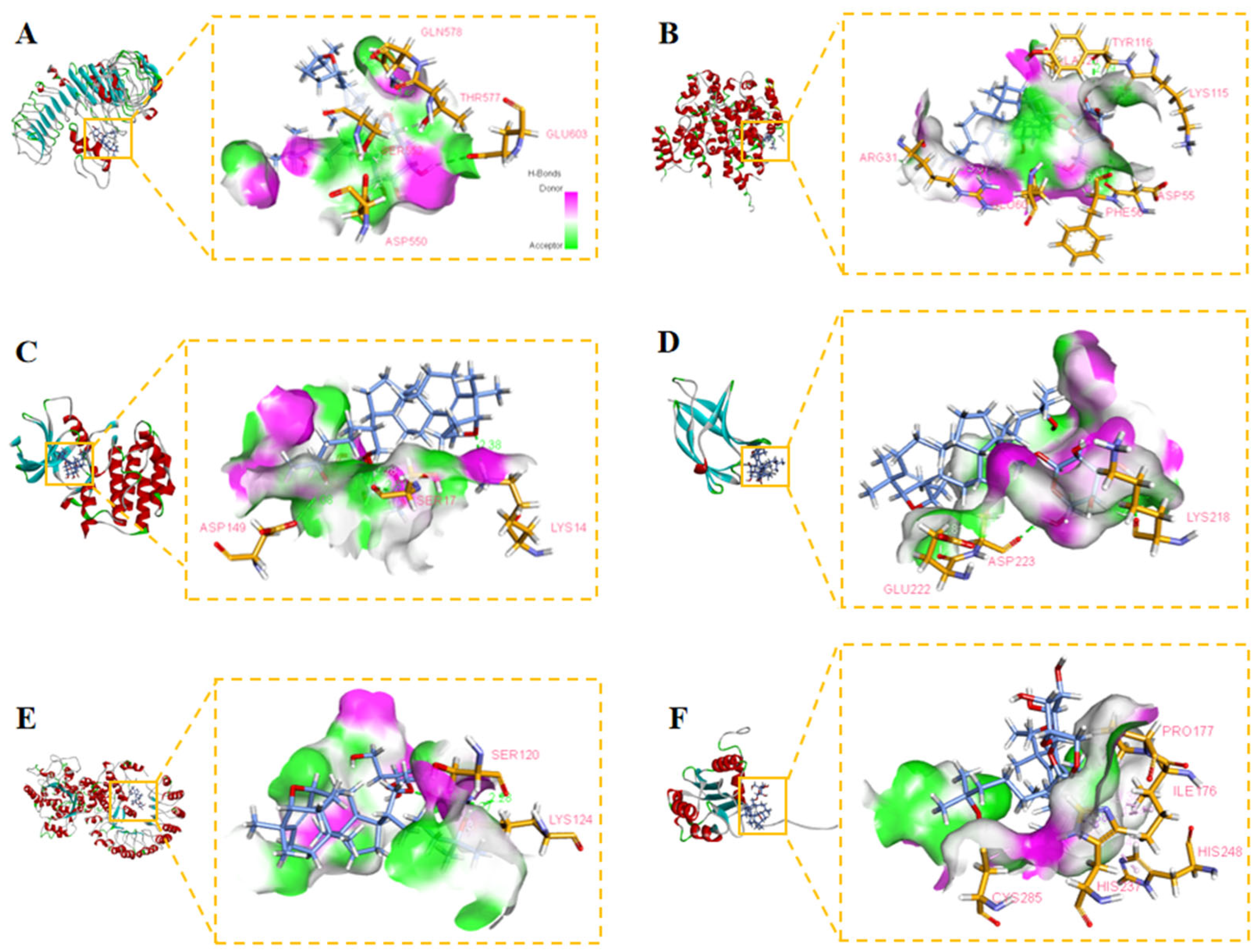 Molecules 27 05298 g014 Molecules 27 05298 g014