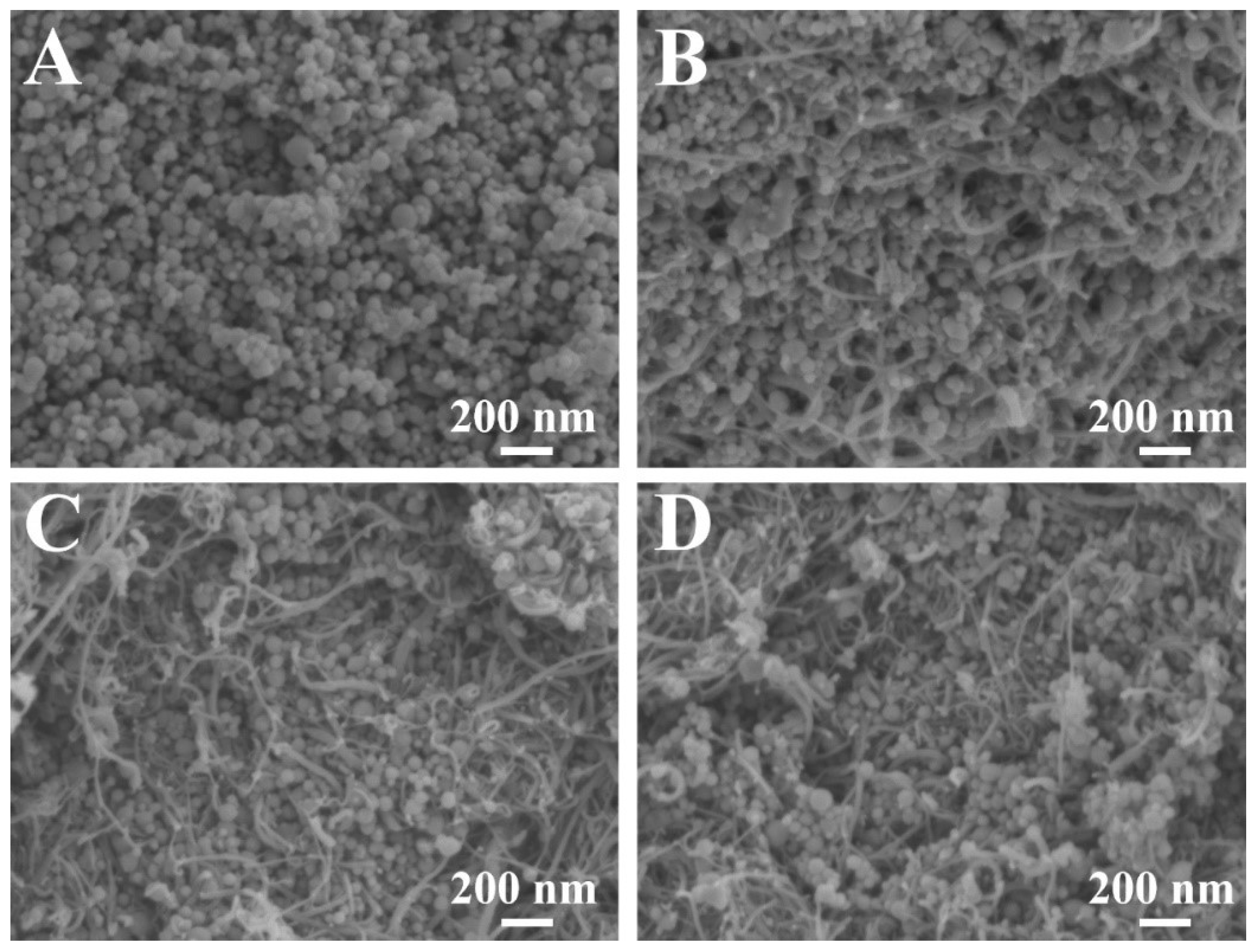 Molecules 27 05313 g004