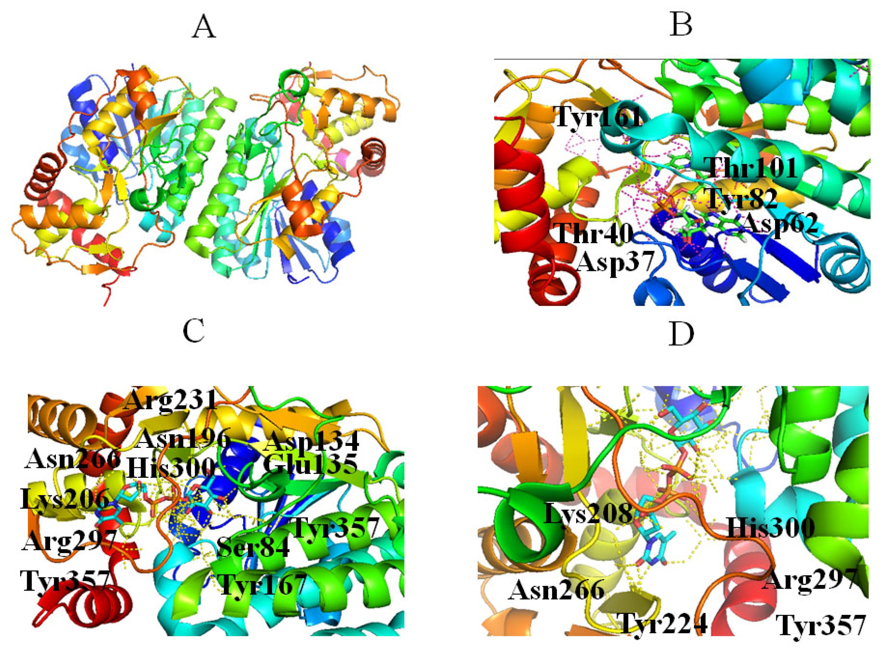 Molecules 27 05315 g004