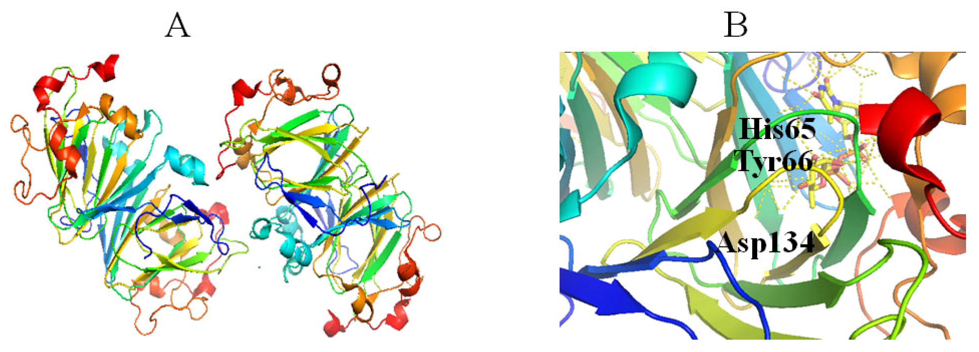 Molecules 27 05315 g005