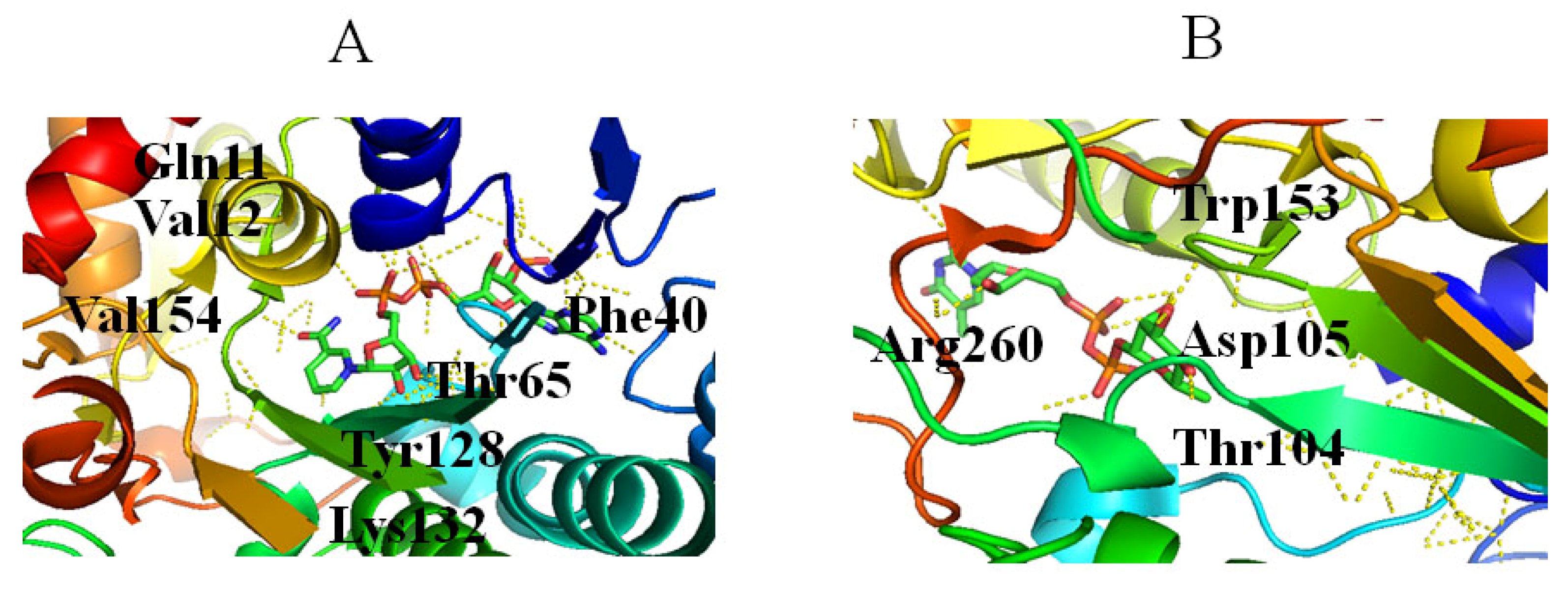 Molecules 27 05315 g006
