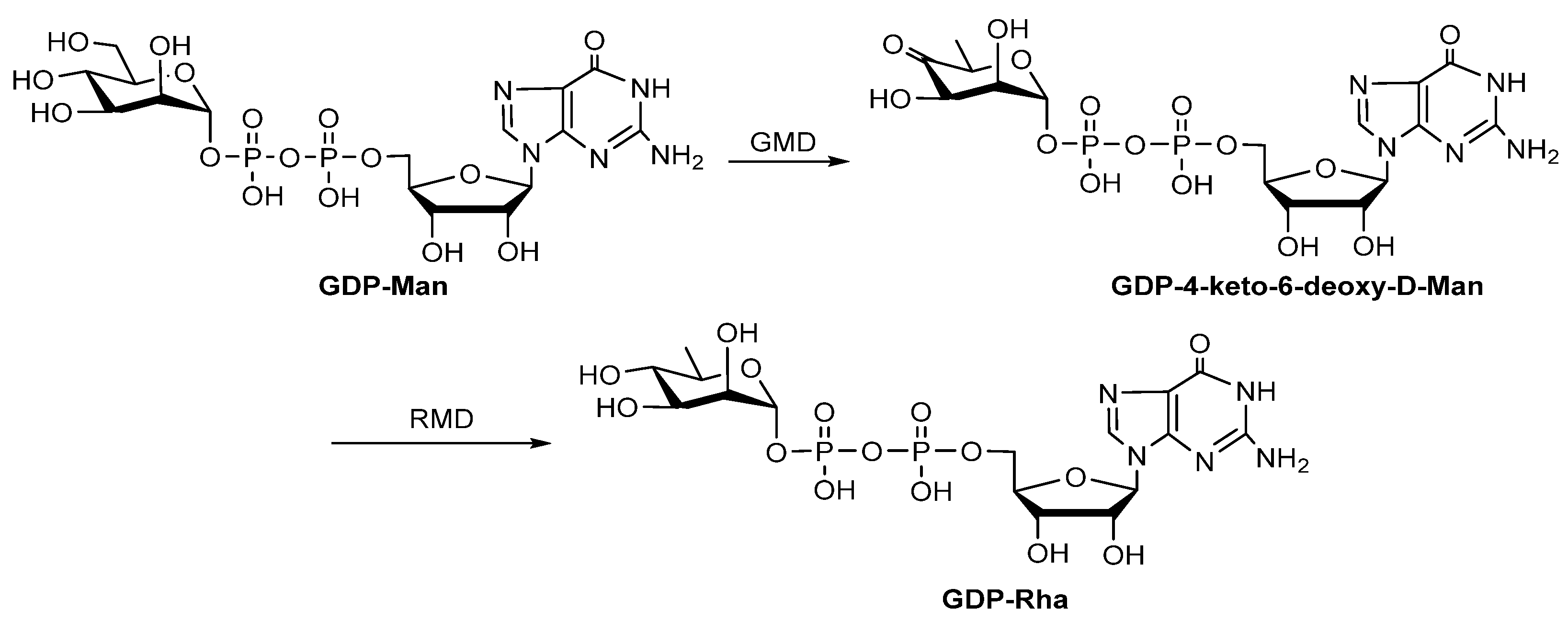 Molecules 27 05315 g007
