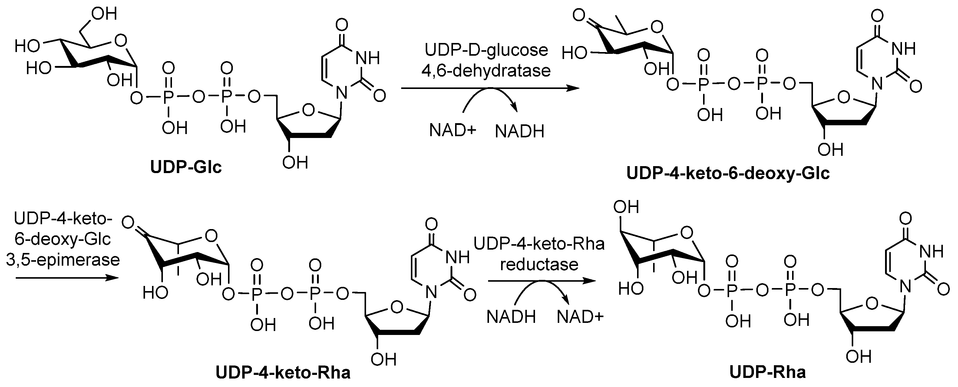 Molecules 27 05315 g008