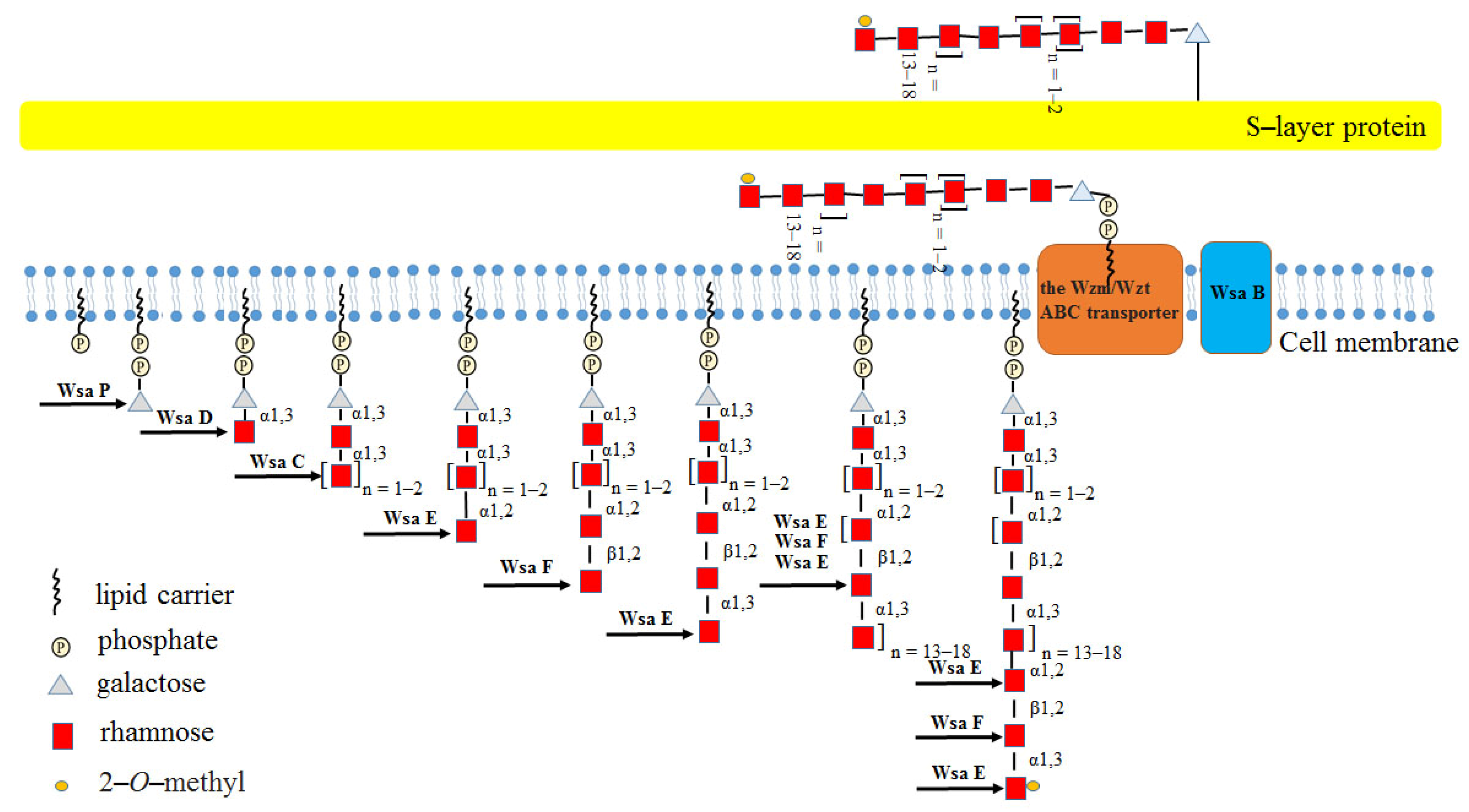 Molecules 27 05315 g010
