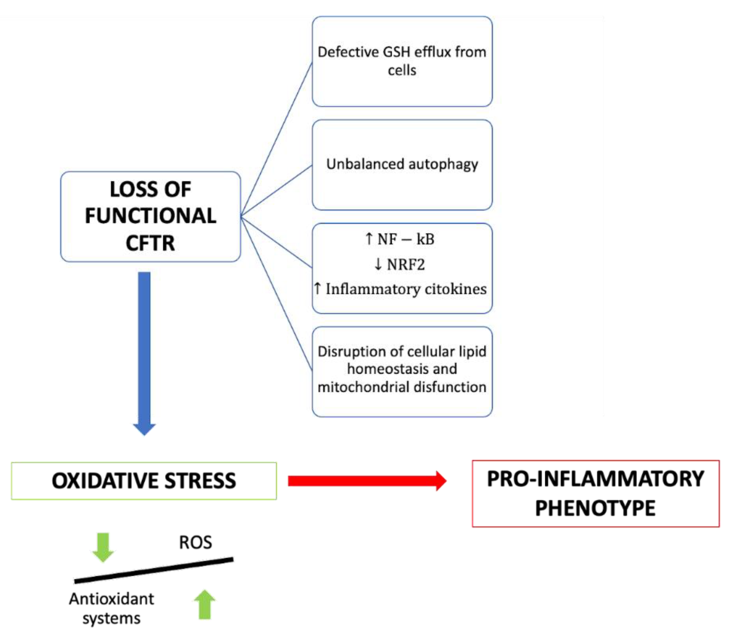 Molecules 27 05324 g001 Molecules 27 05324 g001