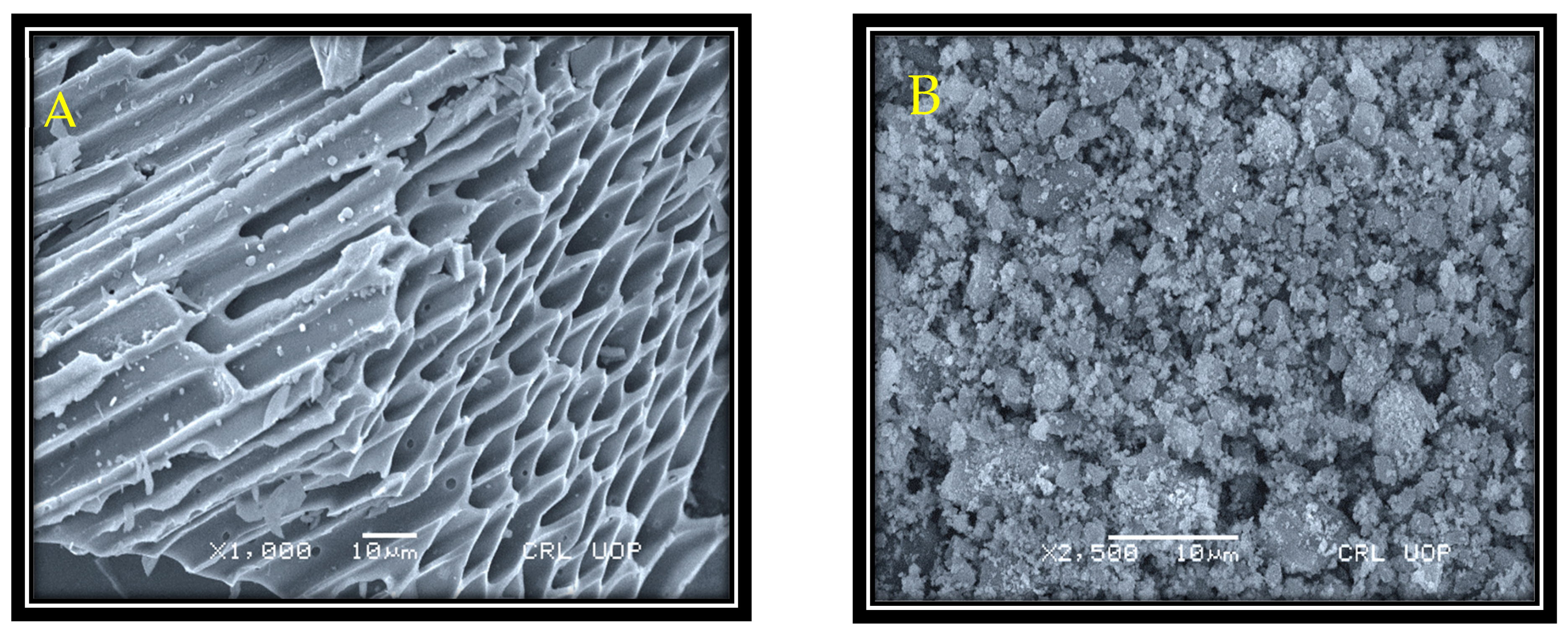 Molecules 27 05333 g001