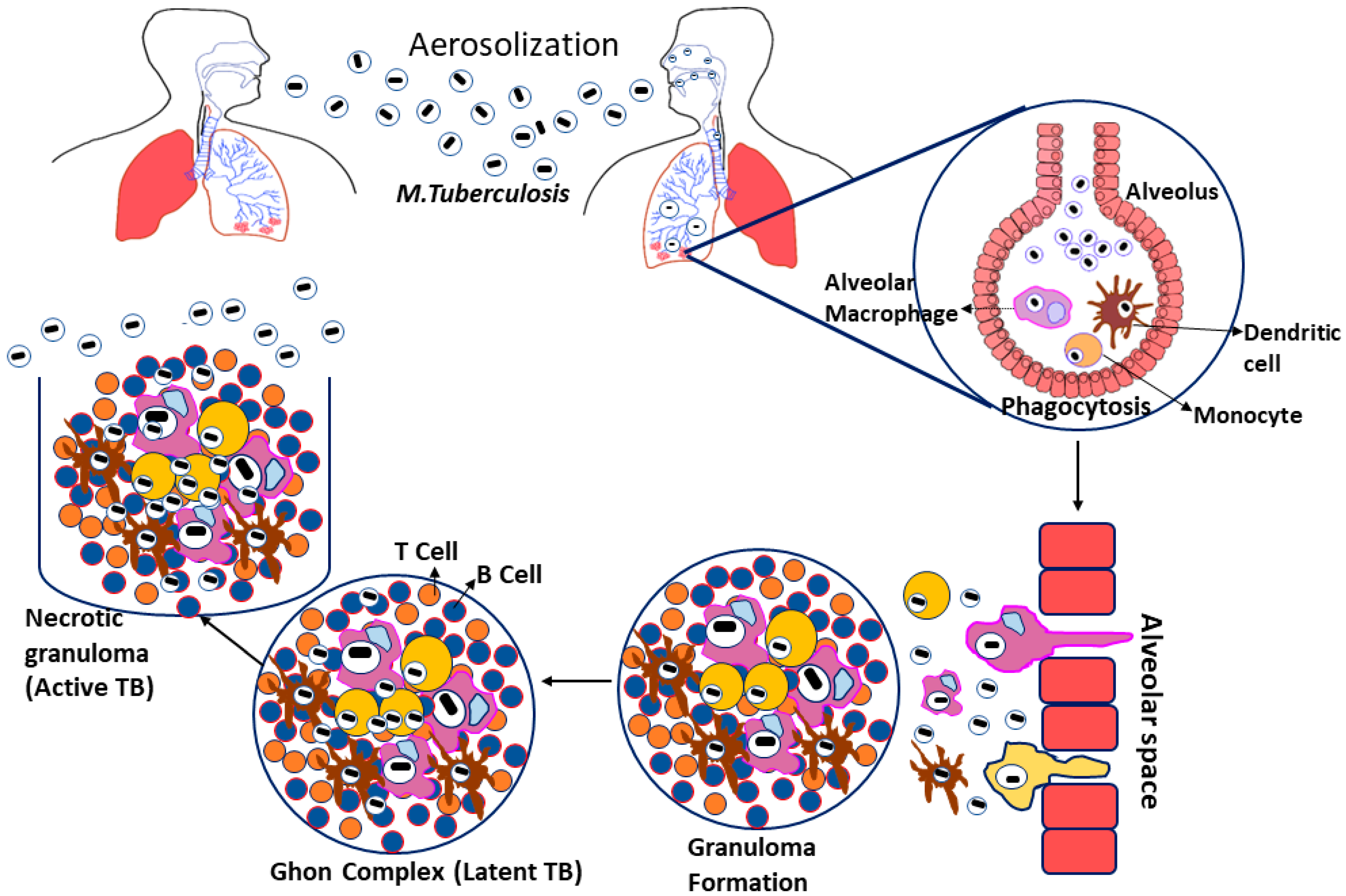 Molecules 27 05335 g001