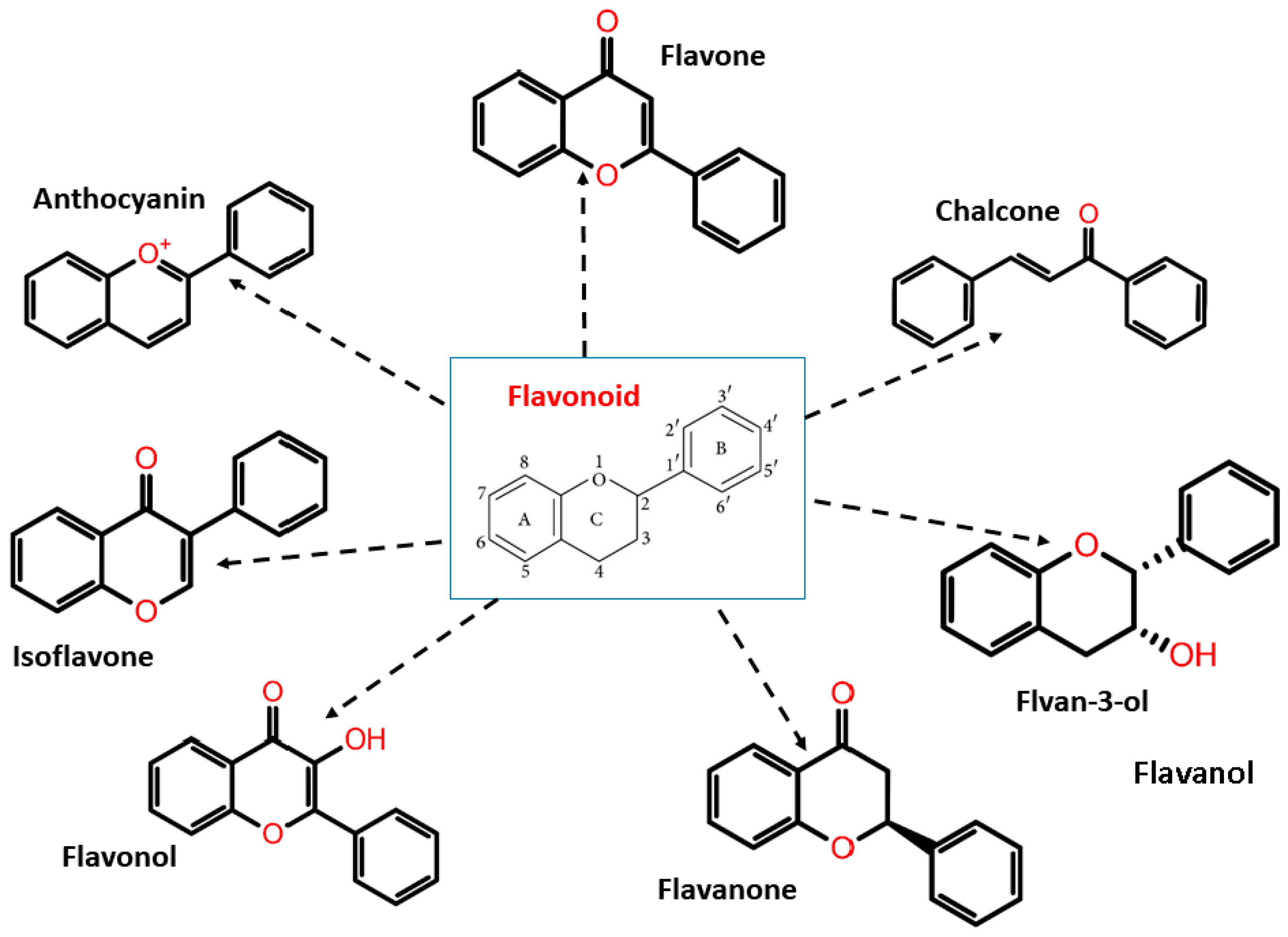 Molecules 27 05335 g002