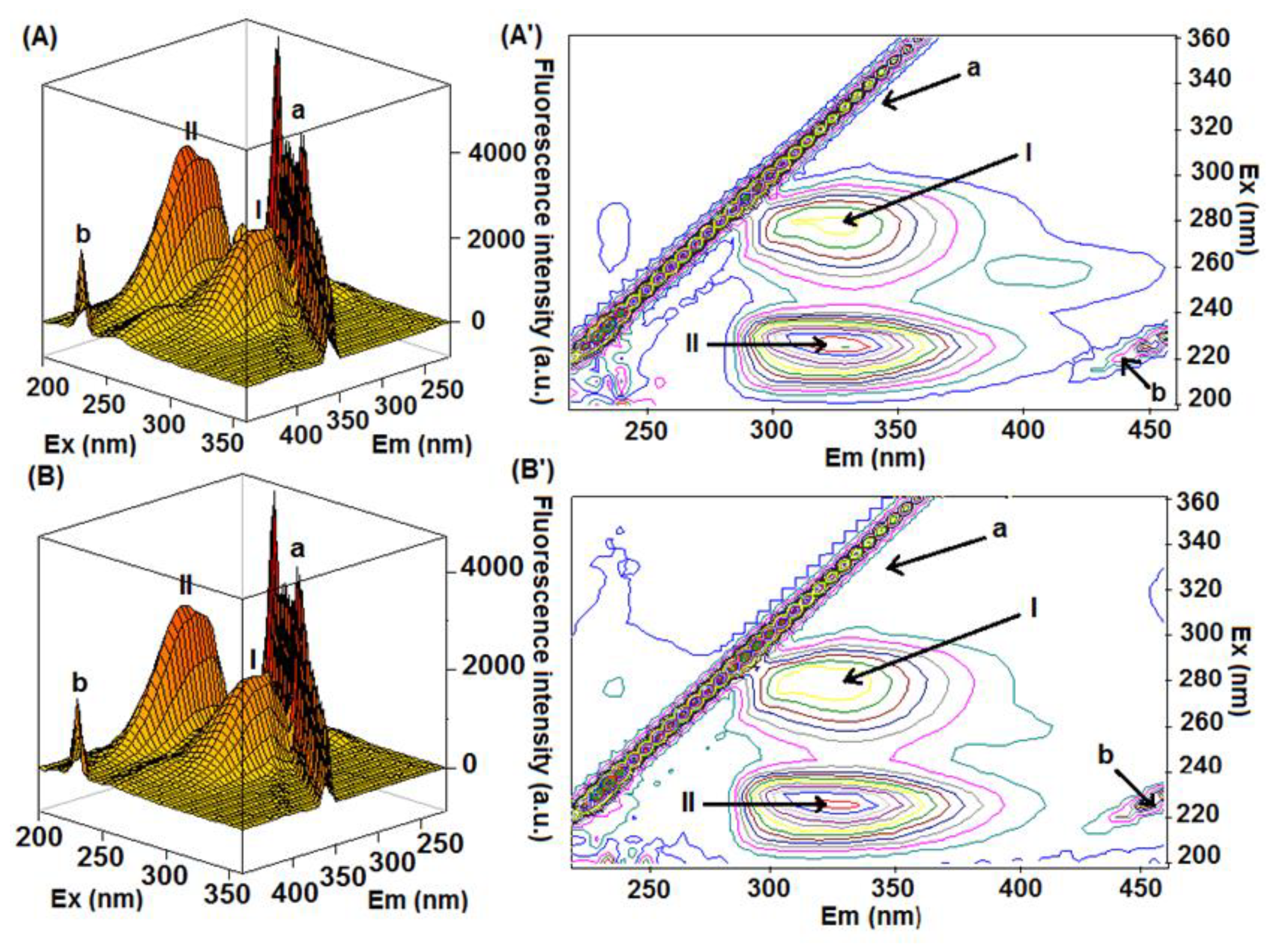 Molecules 27 05341 g006