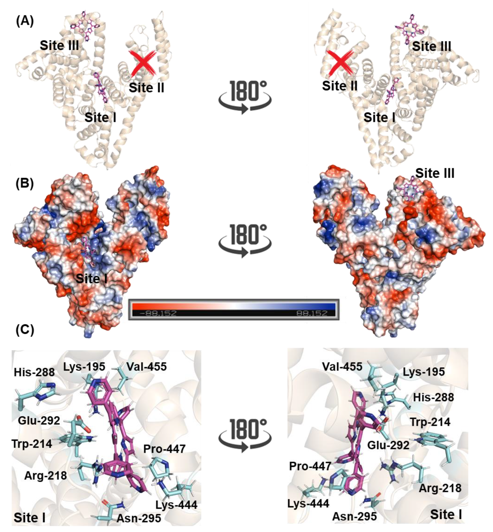 Molecules 27 05341 g007