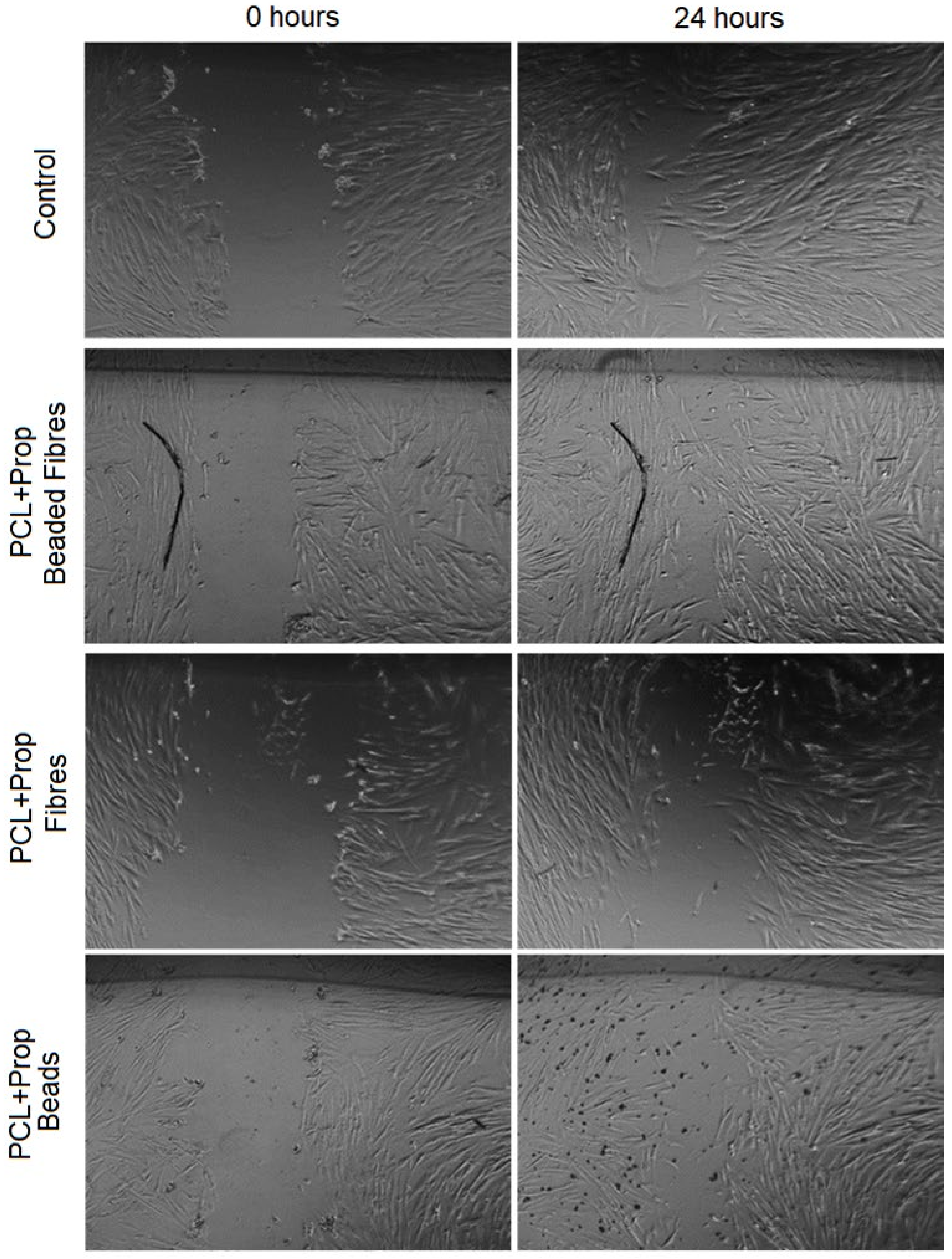 Molecules 27 05351 g011