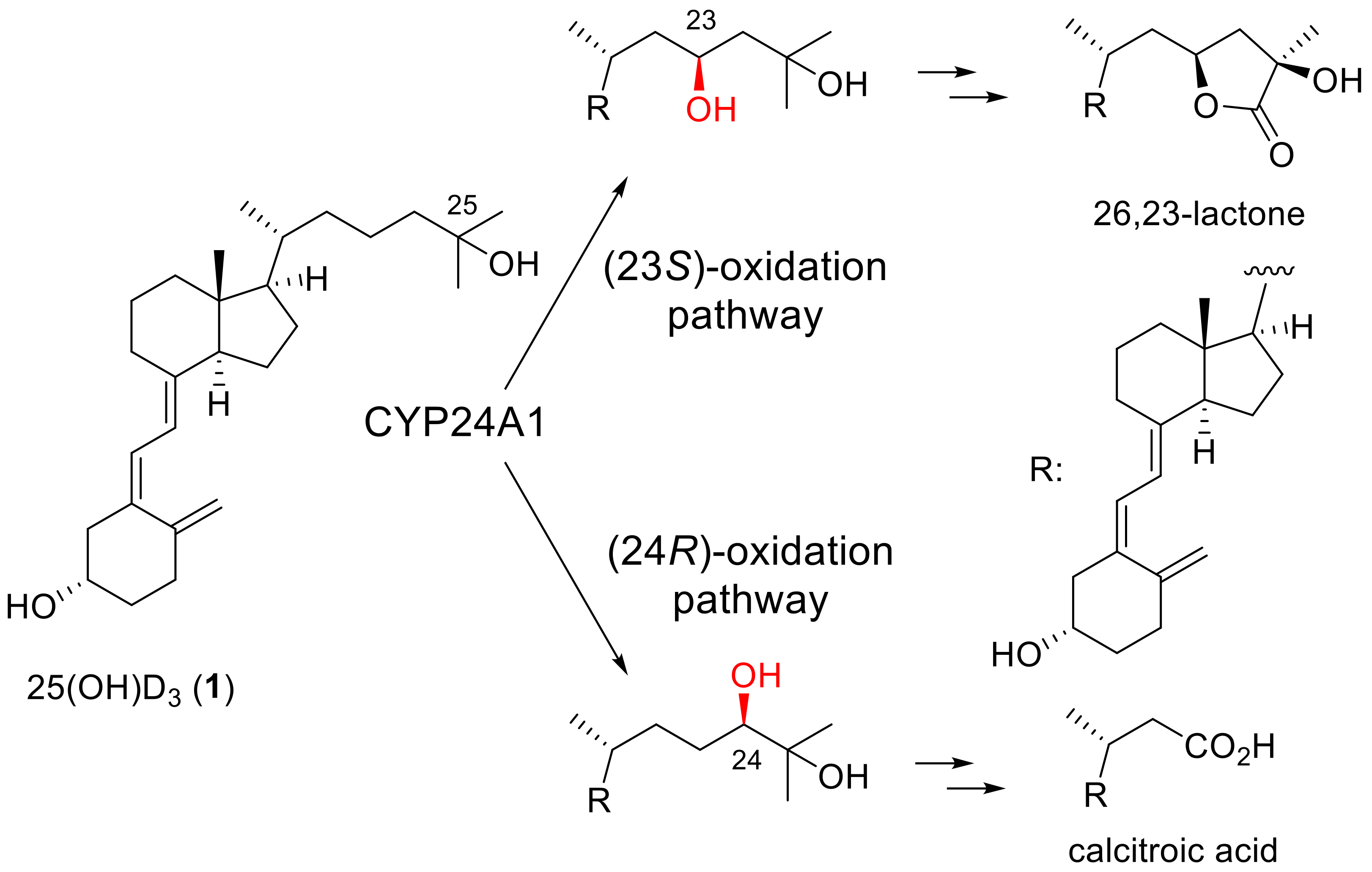 Molecules 27 05352 sch001 Molecules 27 05352 sch001