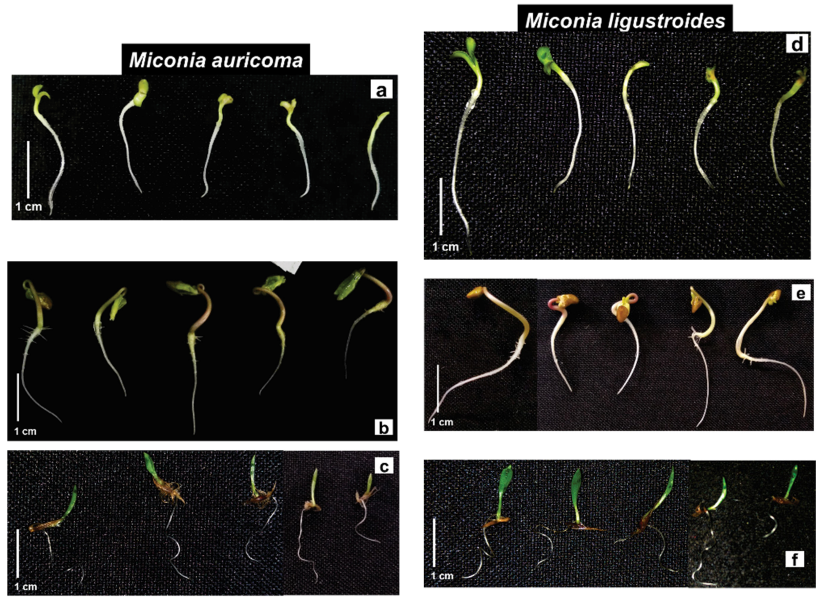 Molecules 27 05356 g002