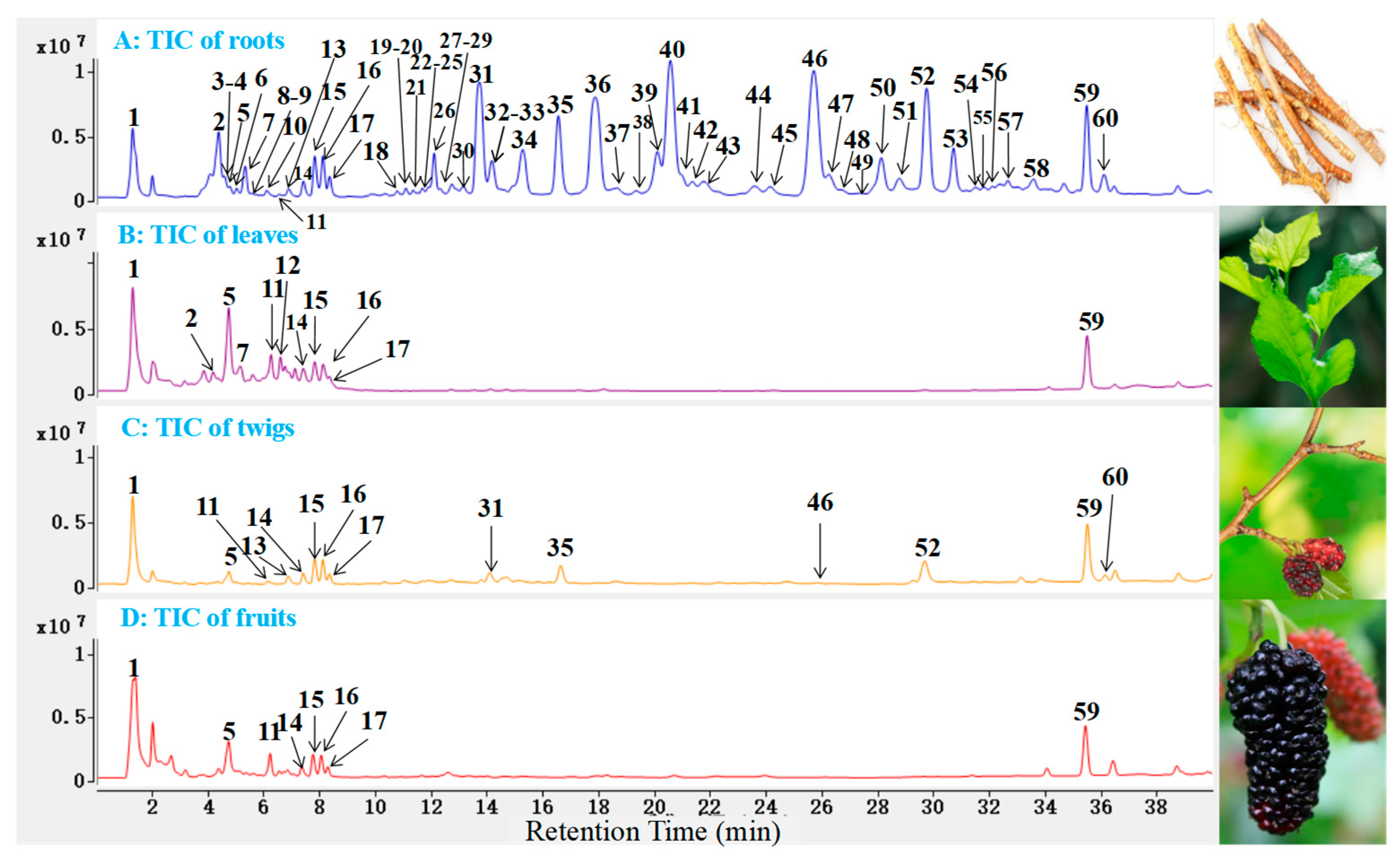 Molecules 27 05360 g002 Molecules 27 05360 g002