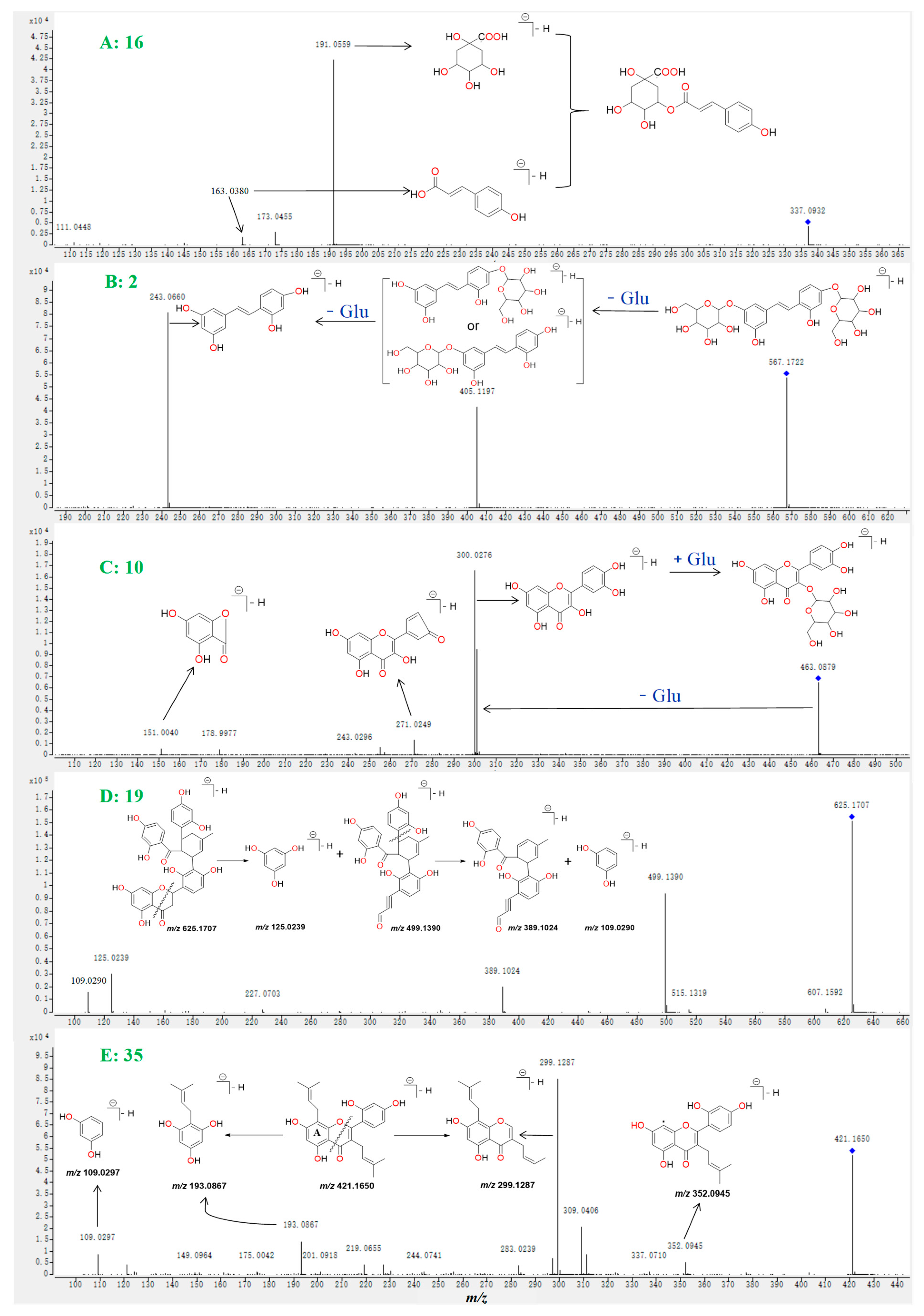 Molecules 27 05360 g004 Molecules 27 05360 g004