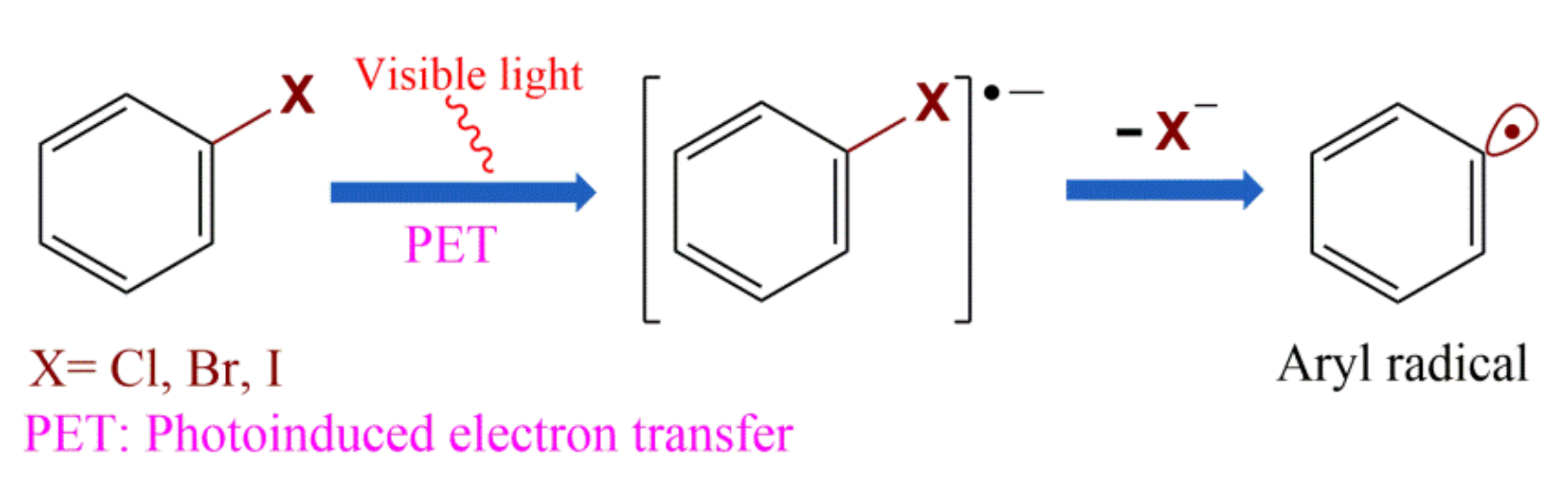 Molecules 27 05364 g001