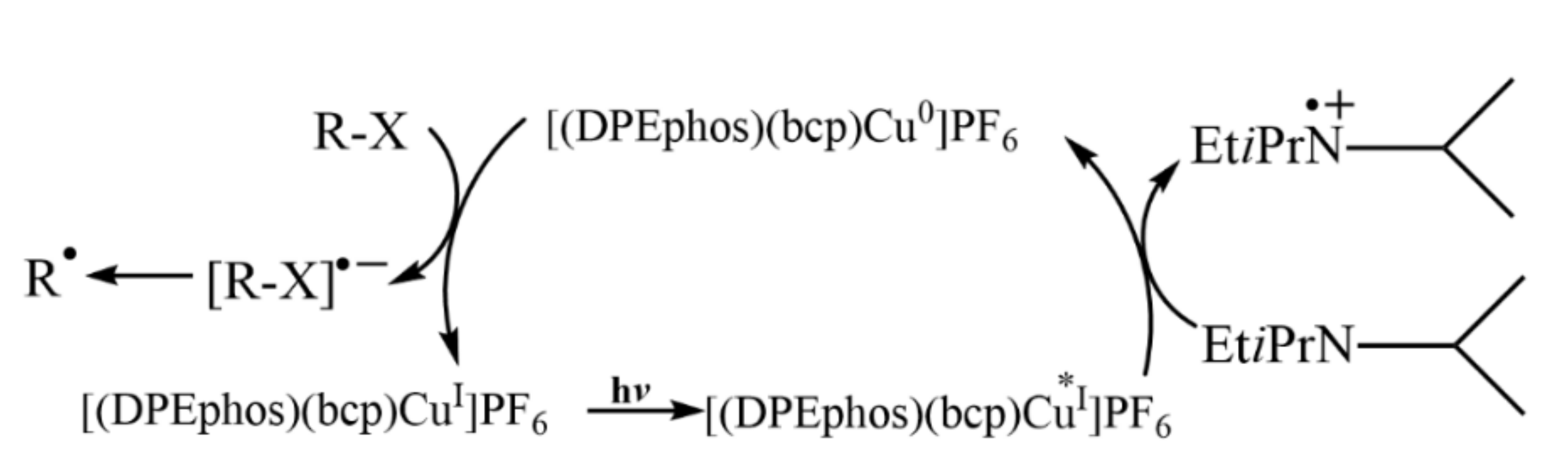 Molecules 27 05364 g004
