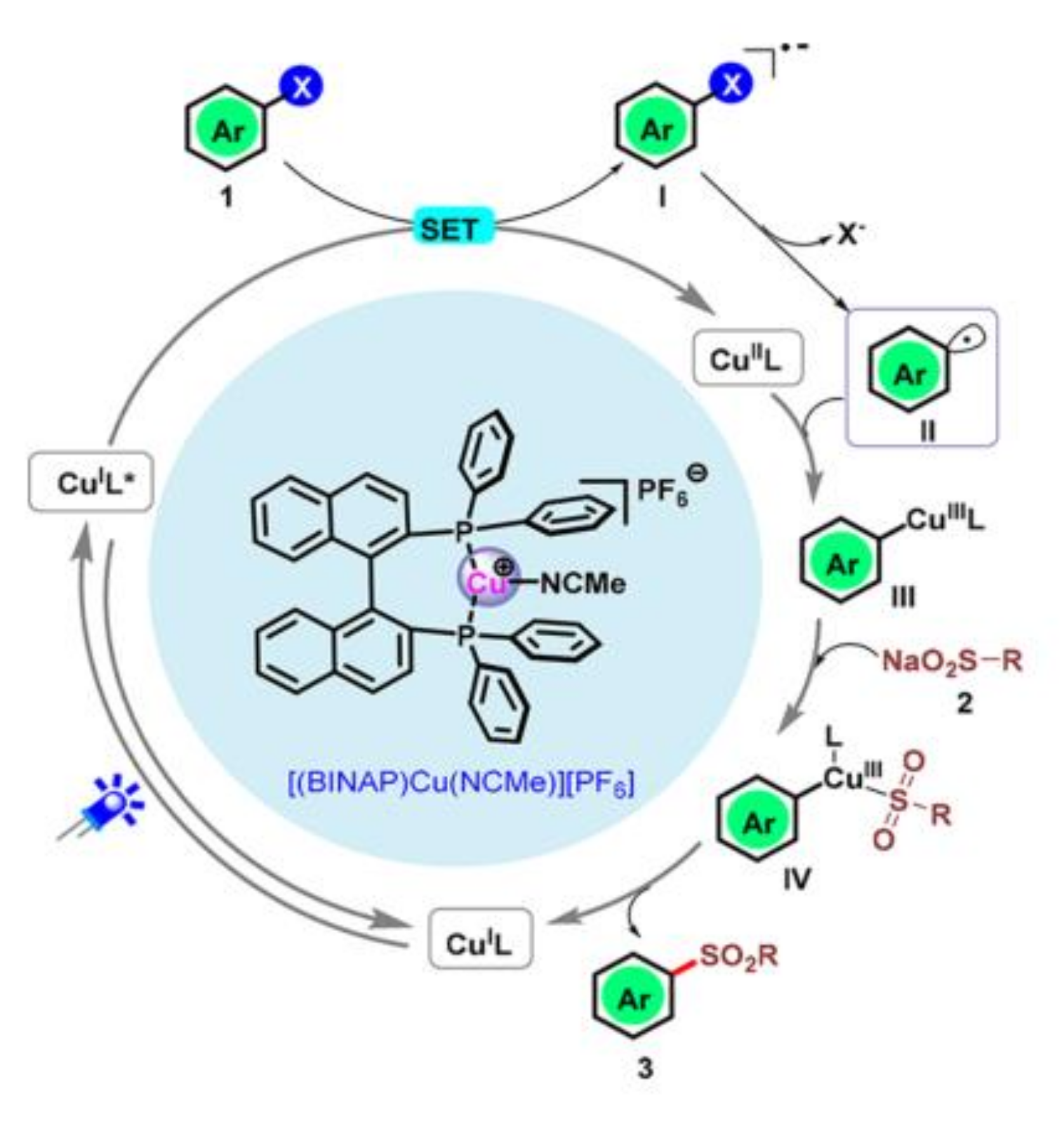Molecules 27 05364 g005