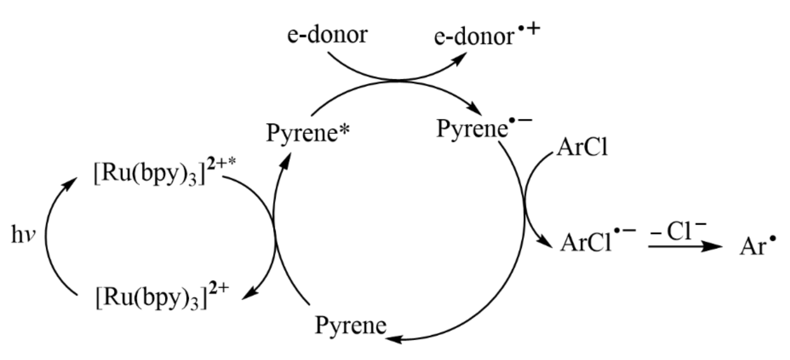 Molecules 27 05364 g007