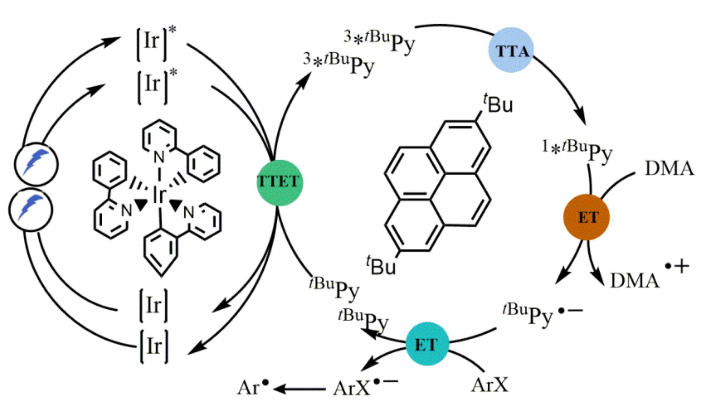 Molecules 27 05364 g008