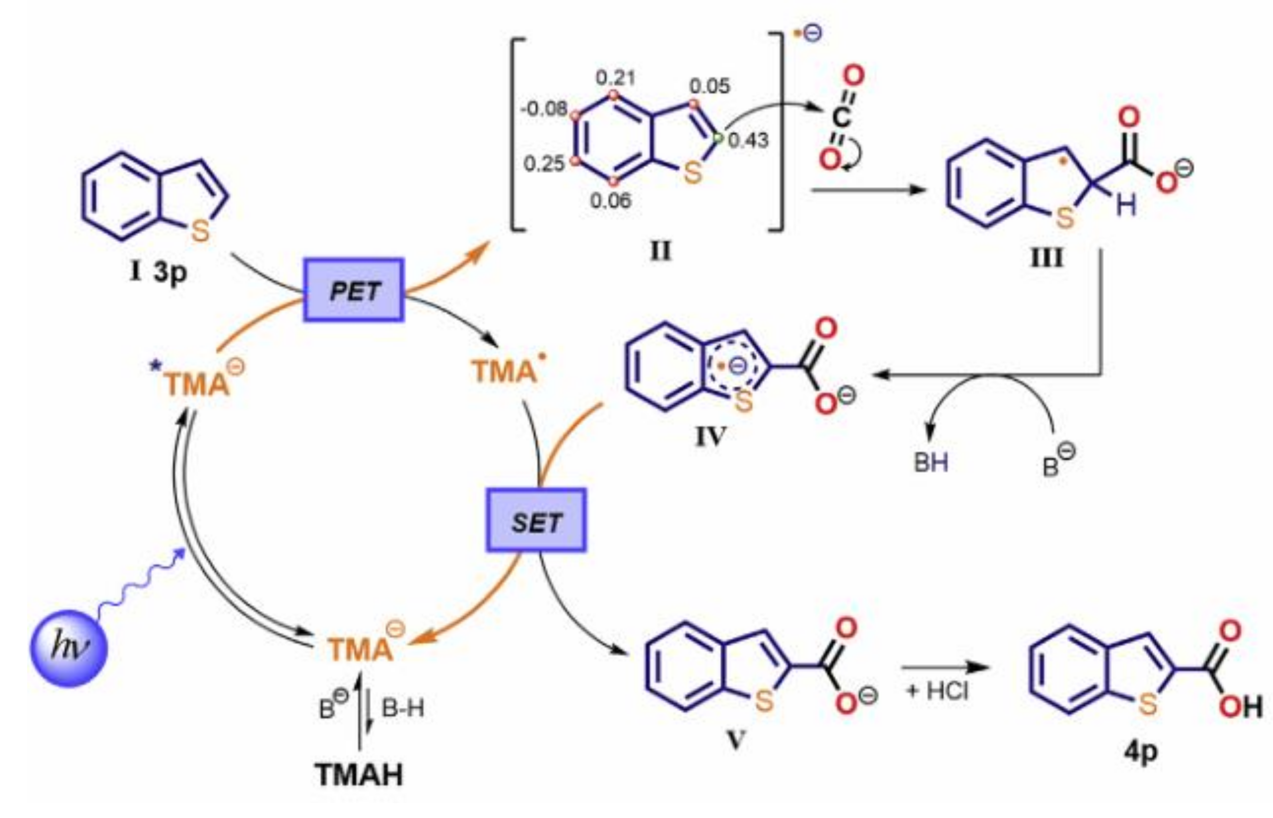 Molecules 27 05364 g011