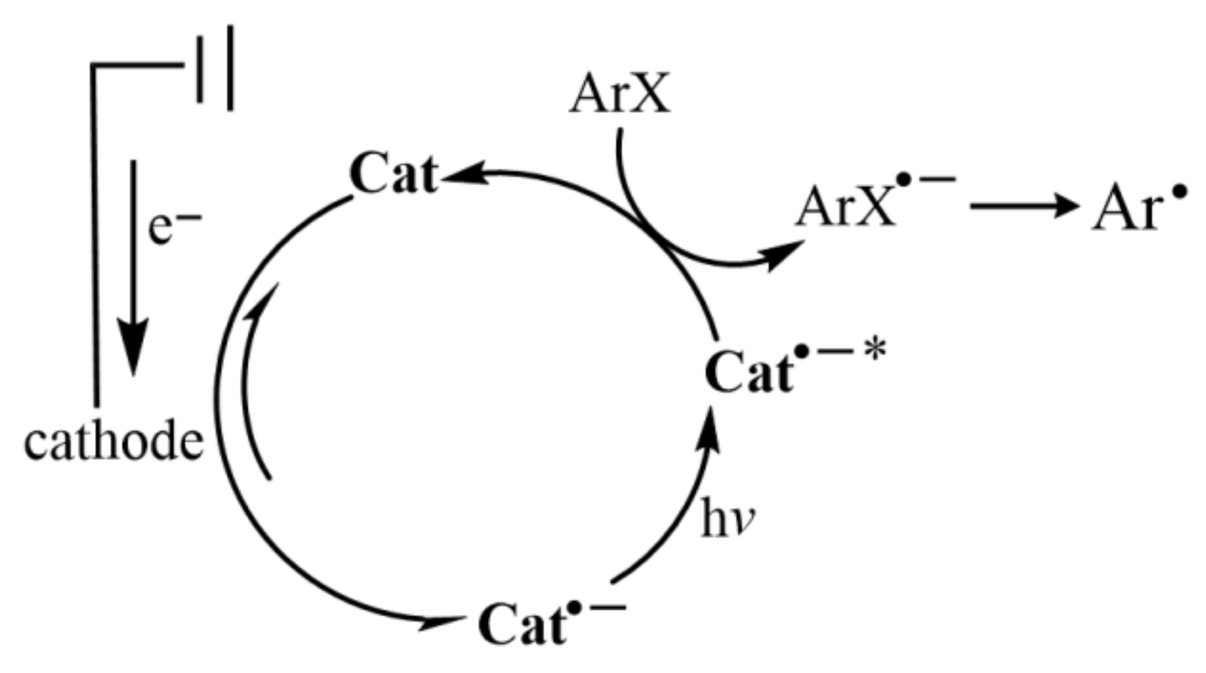Molecules 27 05364 g014