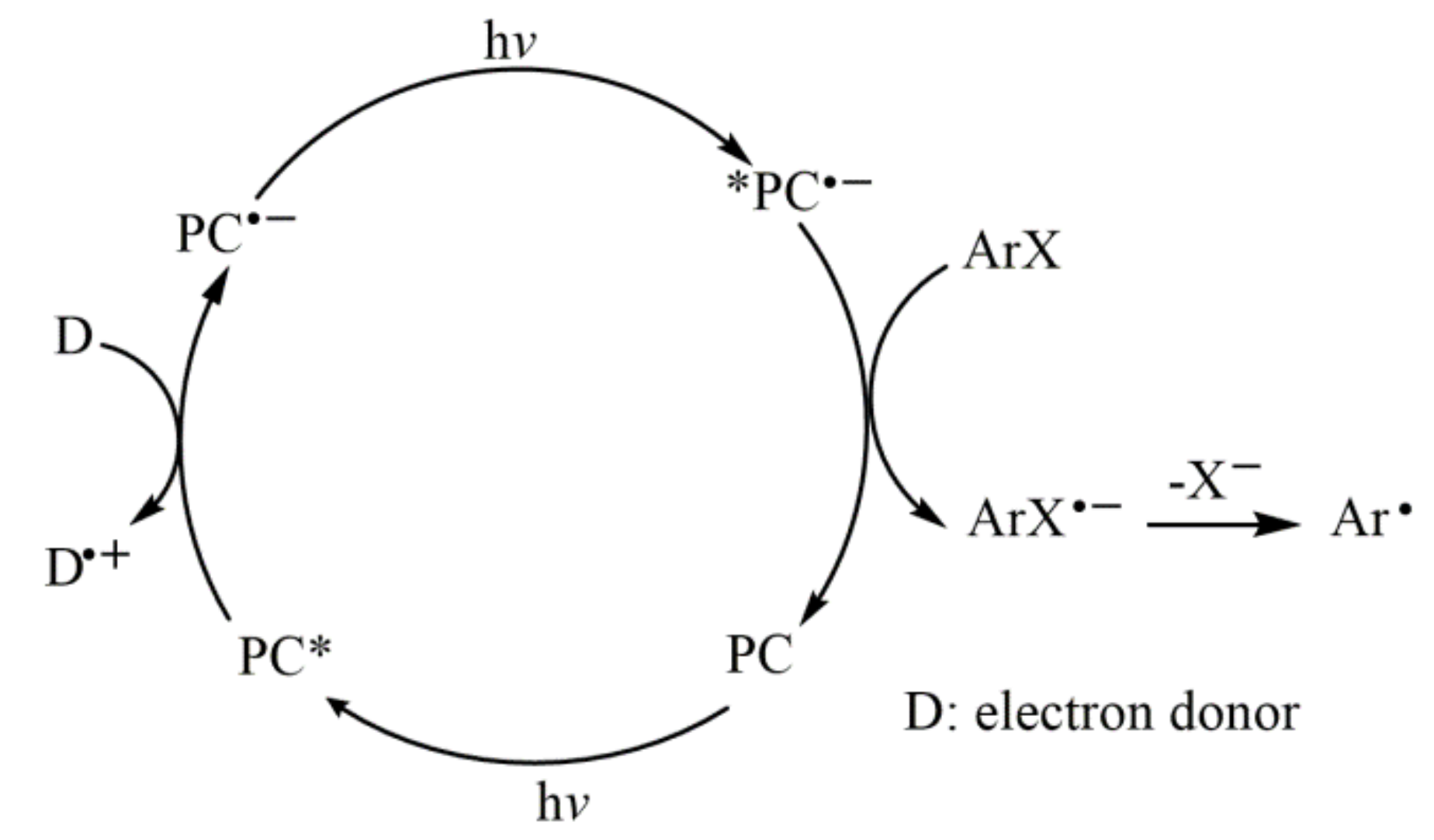 Molecules 27 05364 g015