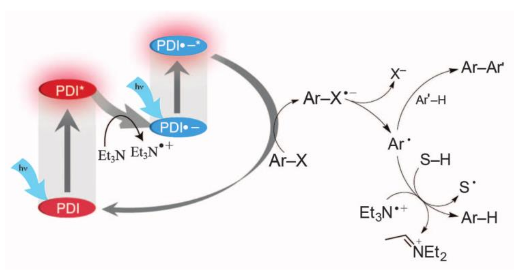 Molecules 27 05364 g017