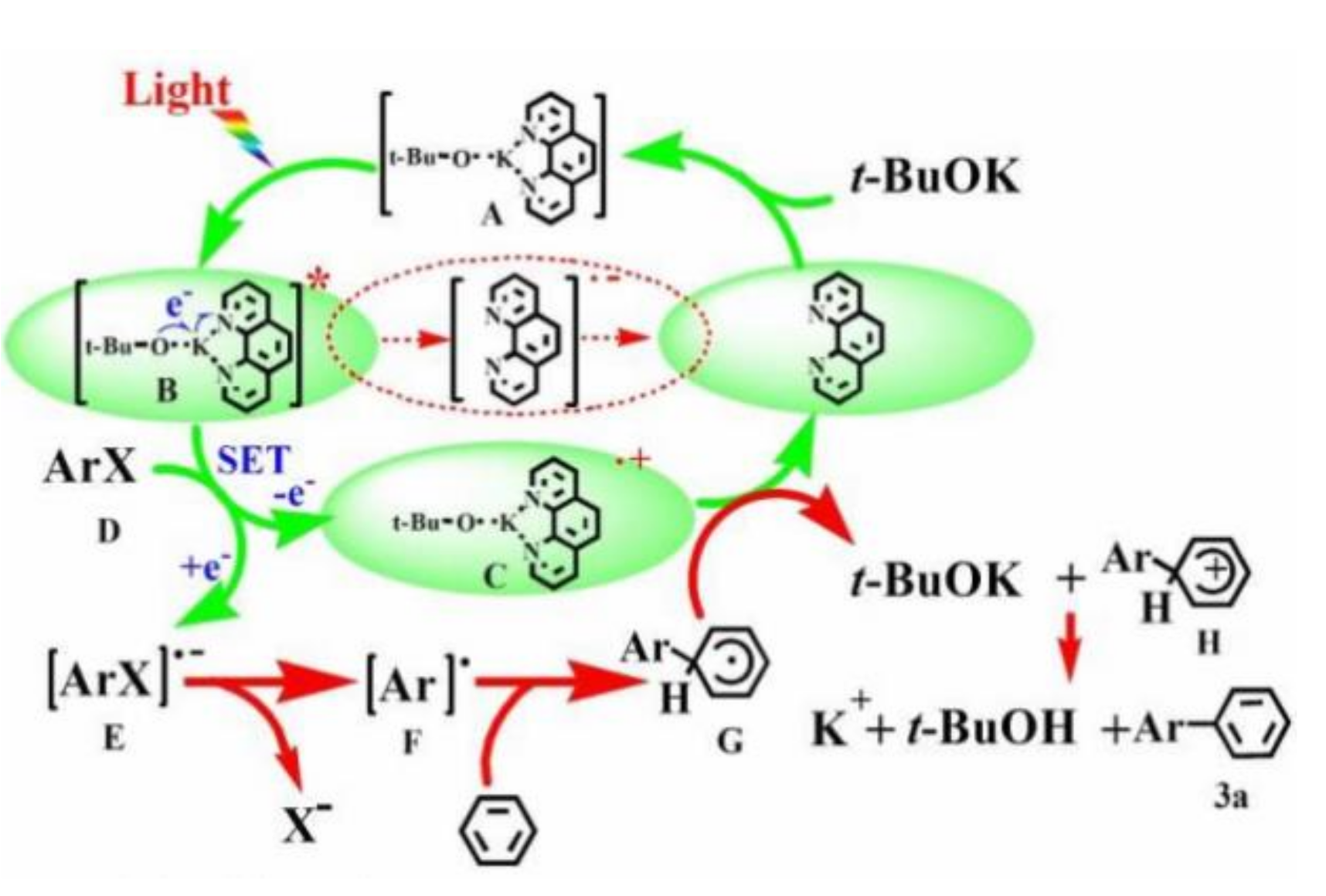 Molecules 27 05364 g020