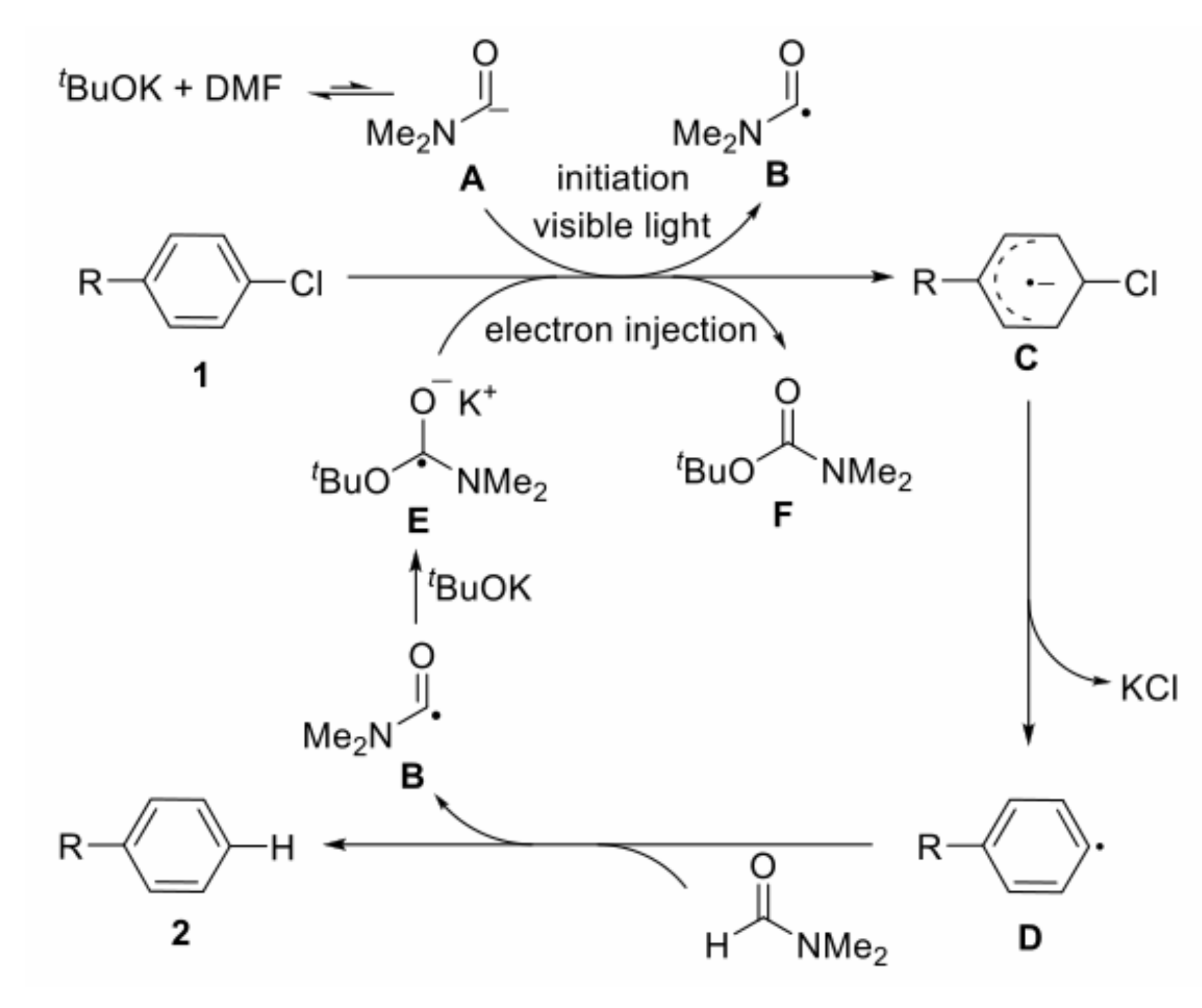 Molecules 27 05364 g022