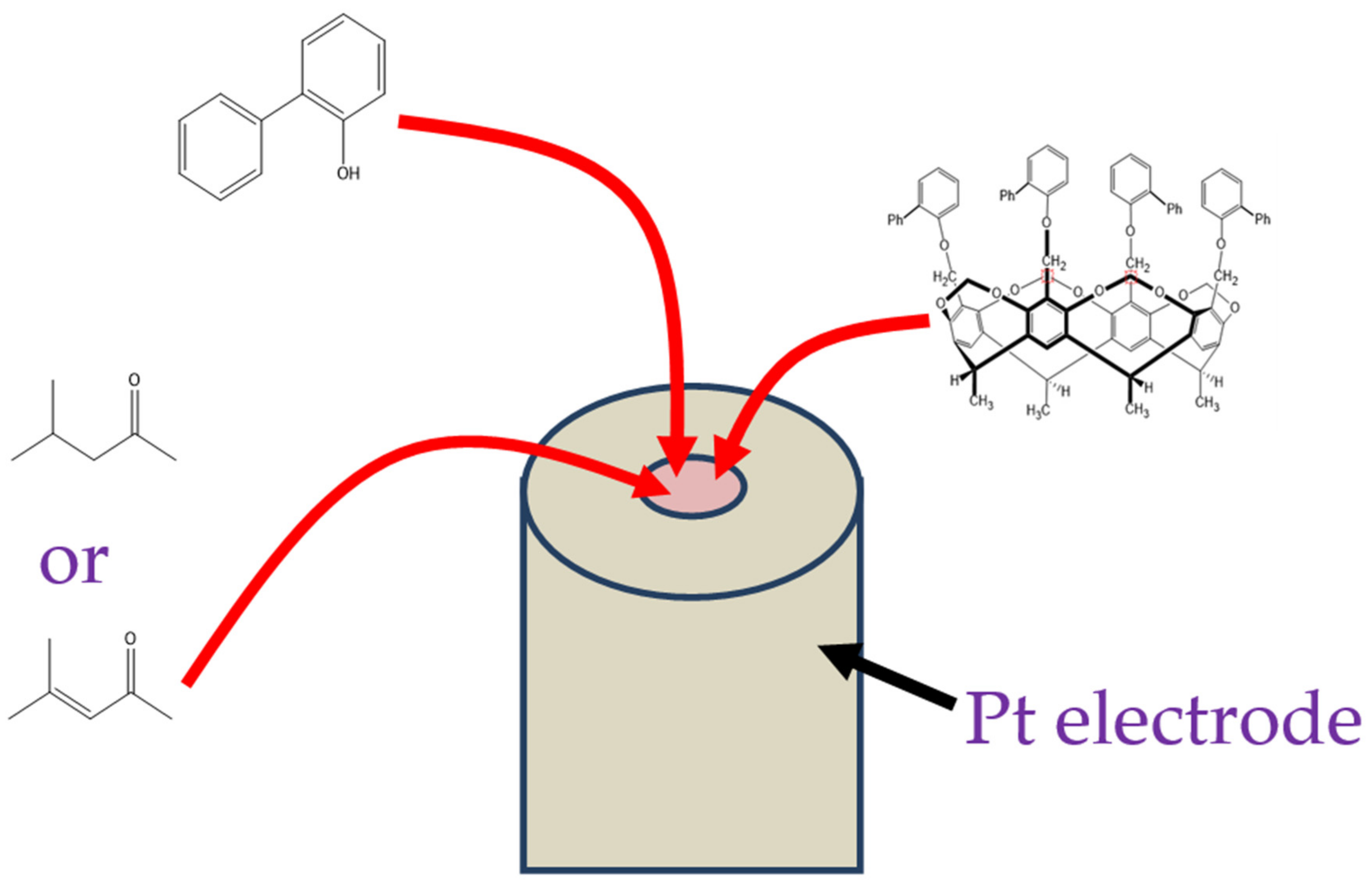 Molecules 27 05366 g002