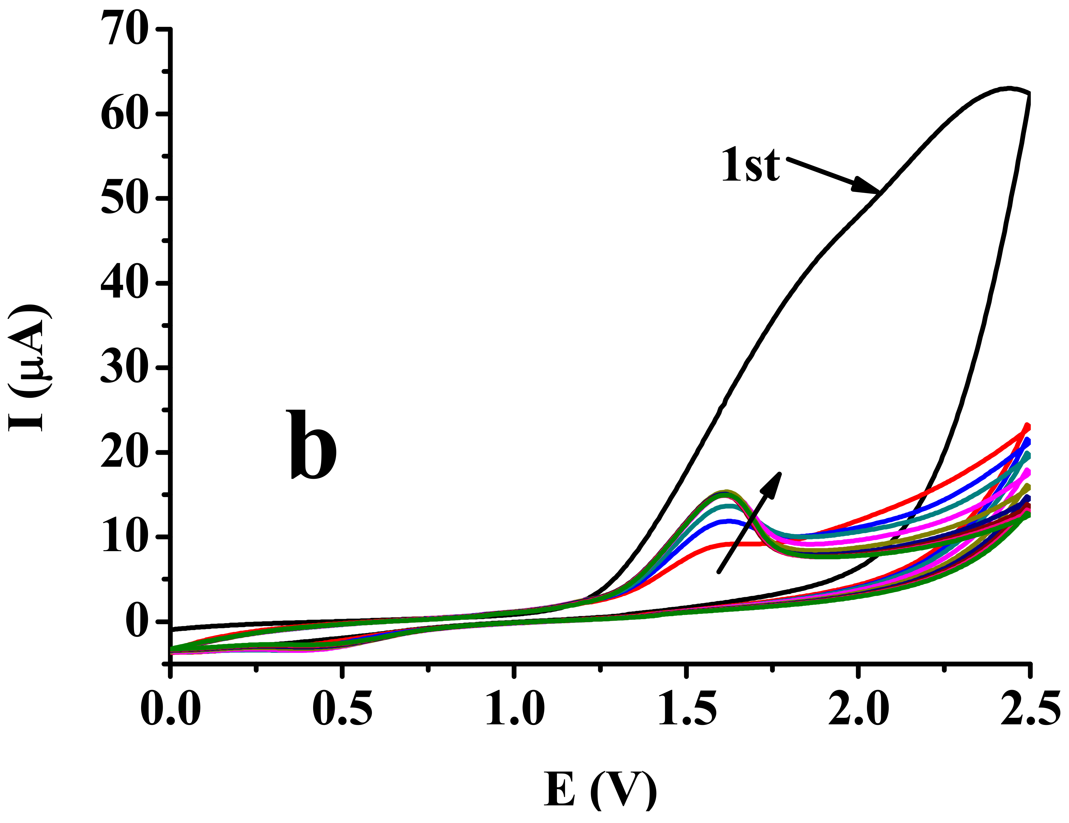 Molecules 27 05366 g003b