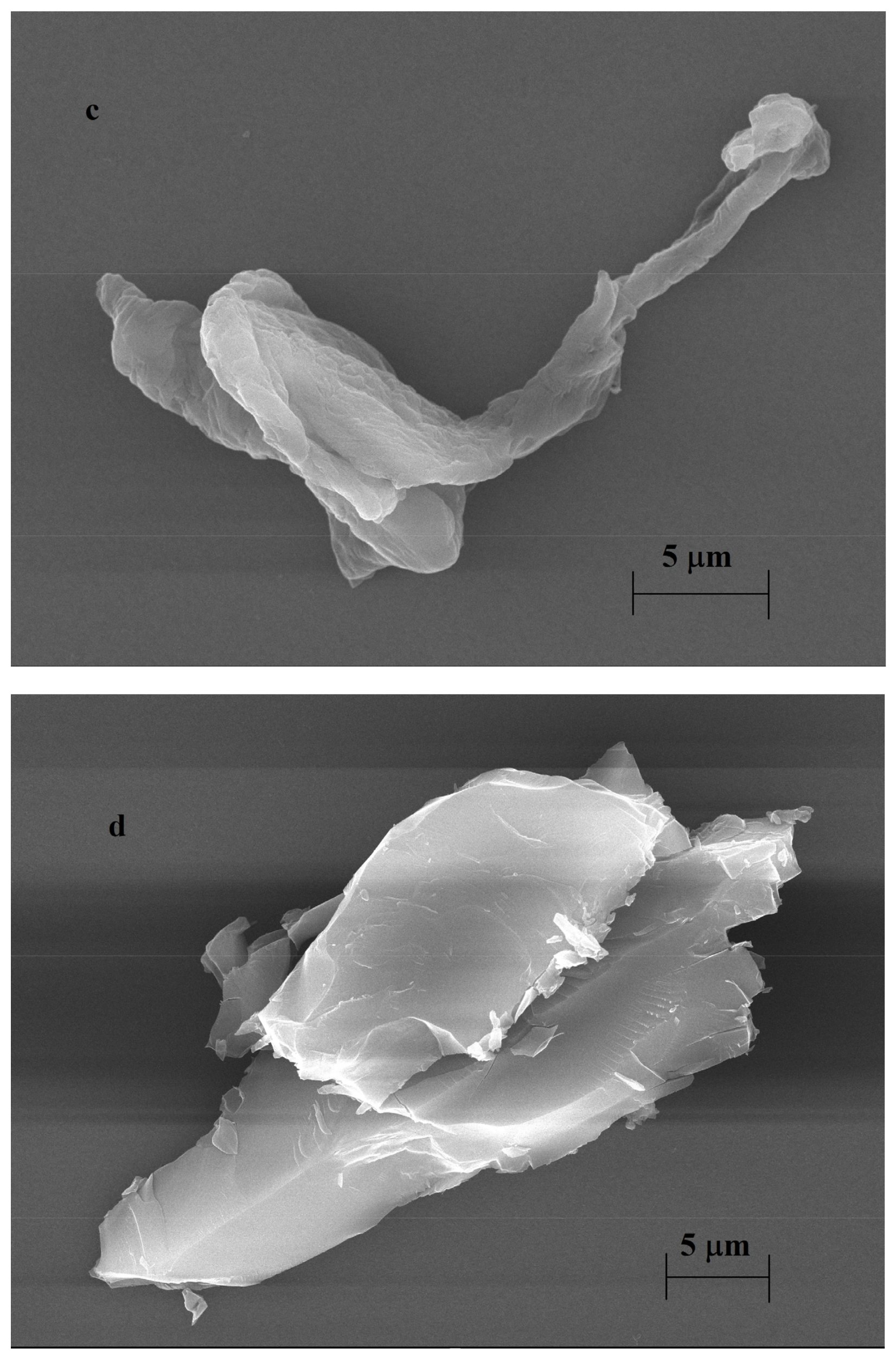 Molecules 27 05366 g006b