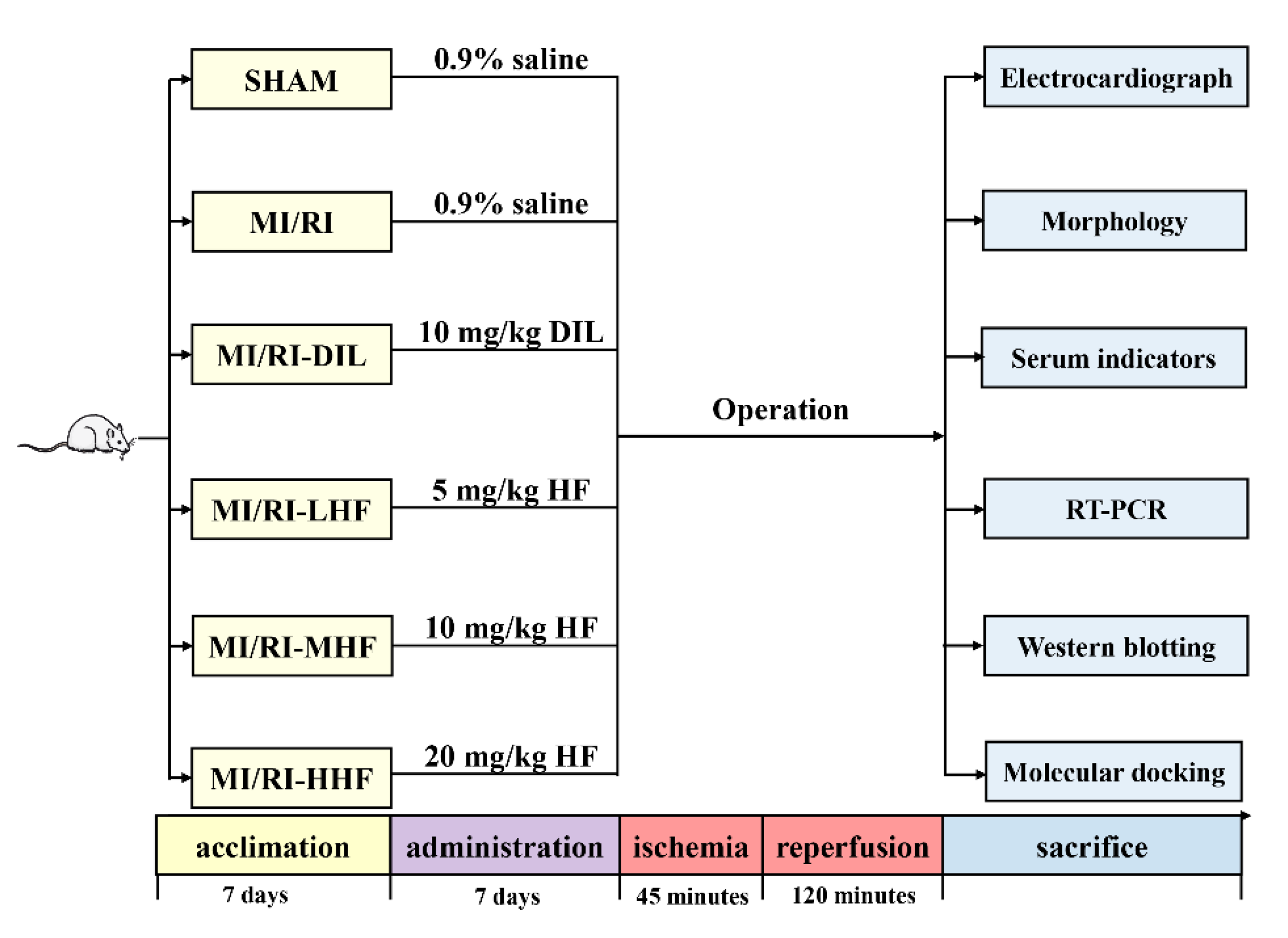 Molecules 27 05371 g001
