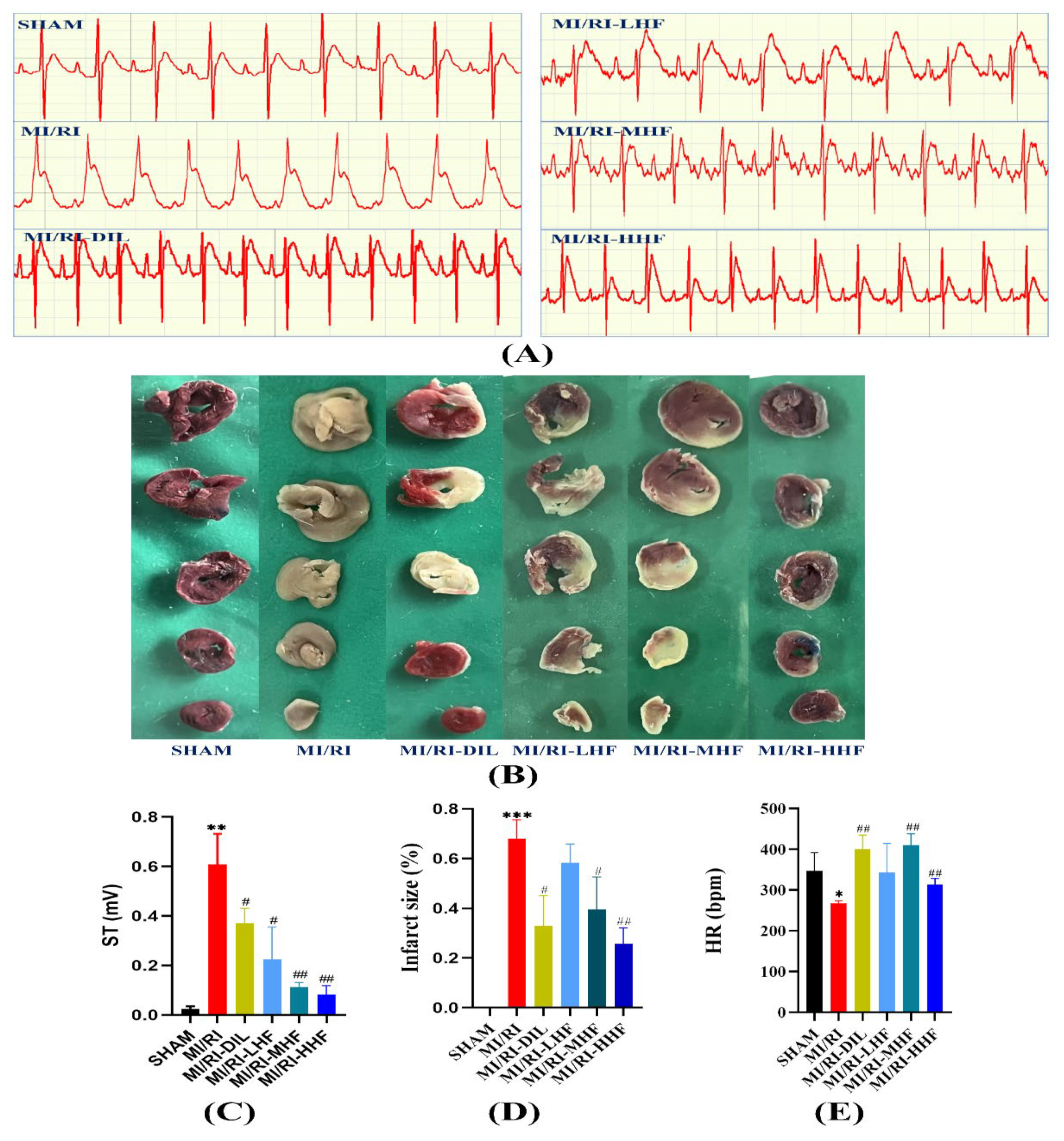 Molecules 27 05371 g002