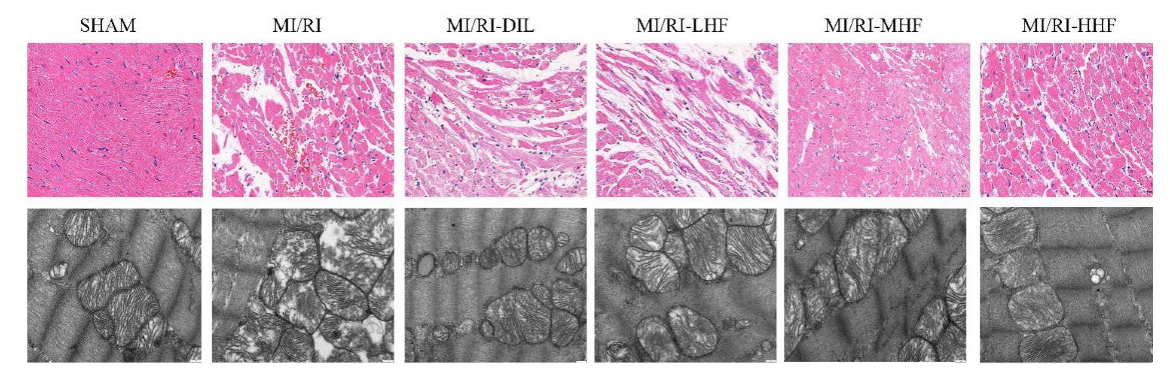 Molecules 27 05371 g003